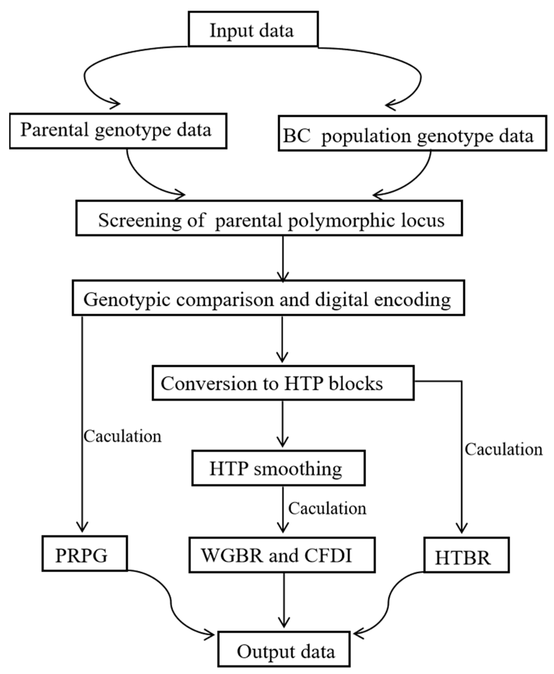 Genes 16 01480 g001 Genes 16 01480 g001