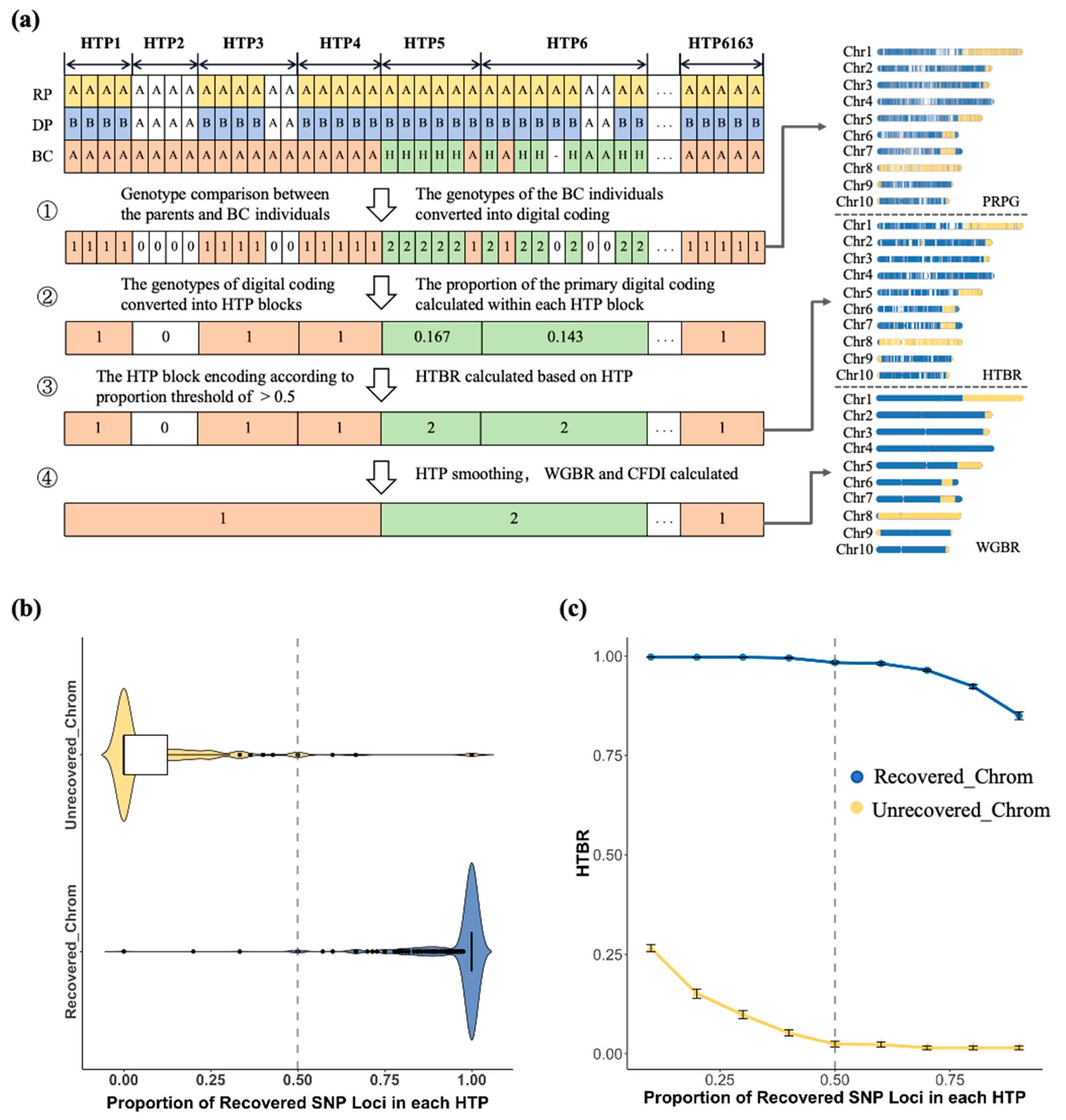 Genes 16 01480 g002 Genes 16 01480 g002