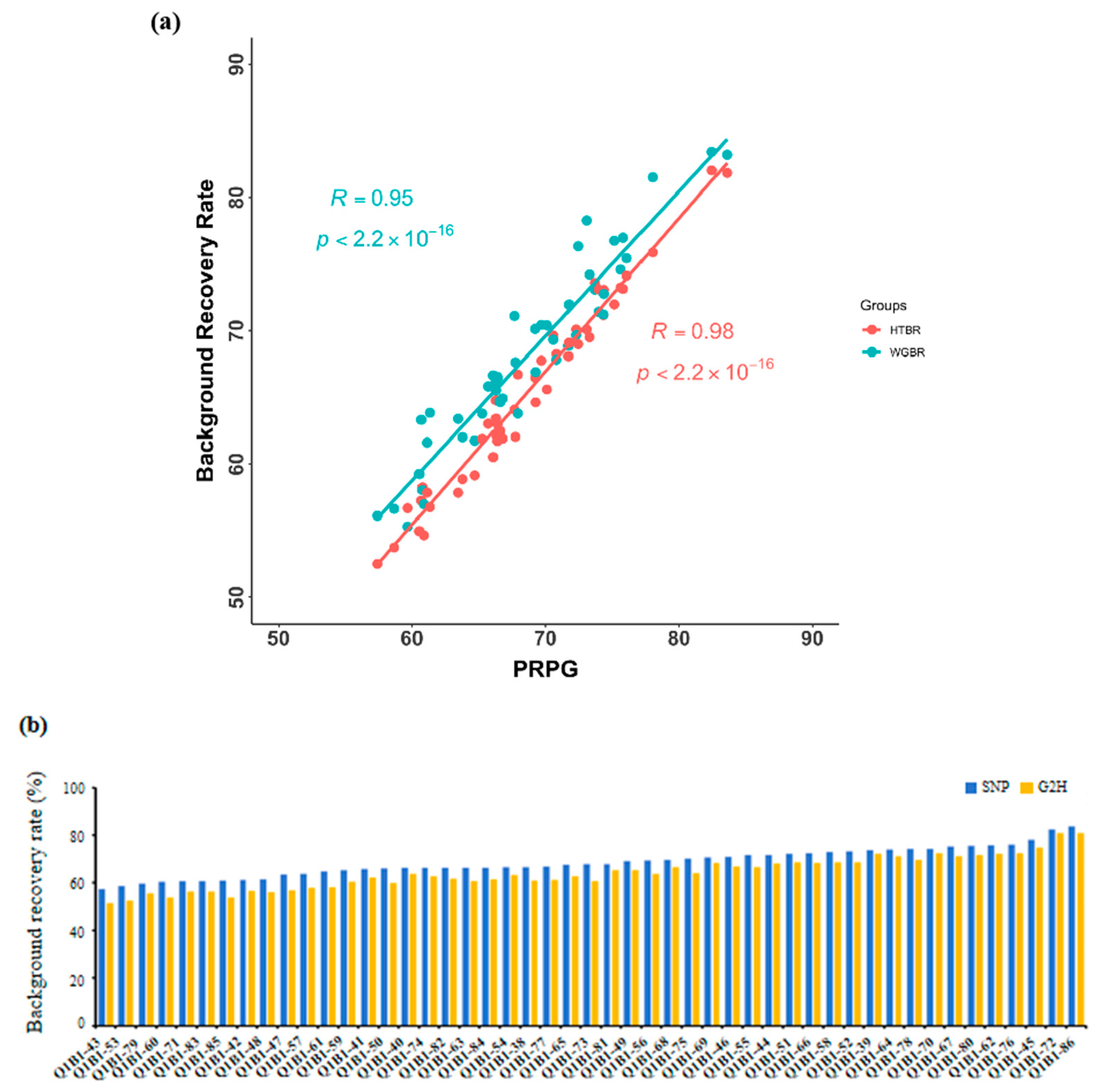 Genes 16 01480 g003a Genes 16 01480 g003a