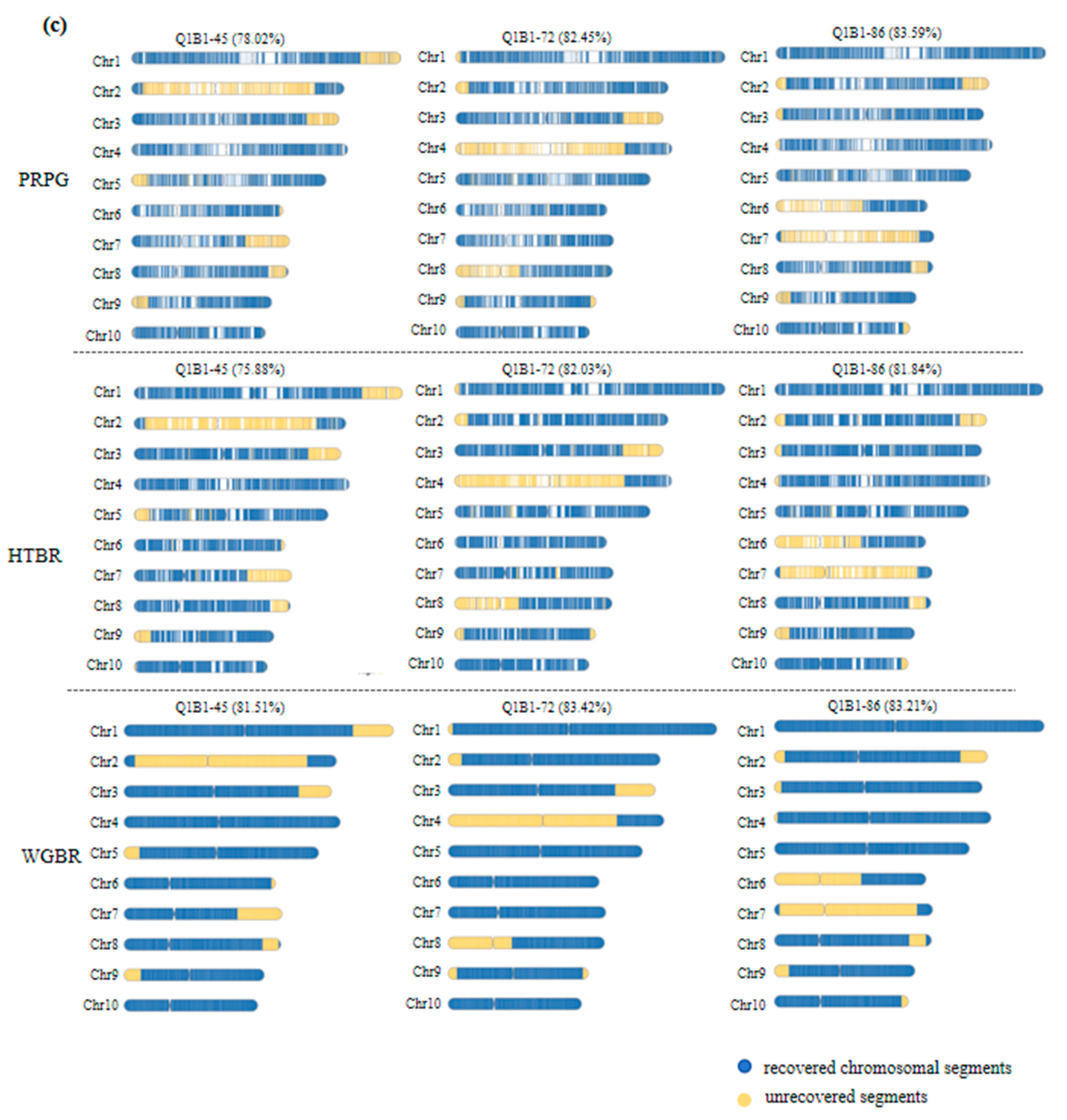 Genes 16 01480 g003b Genes 16 01480 g003b