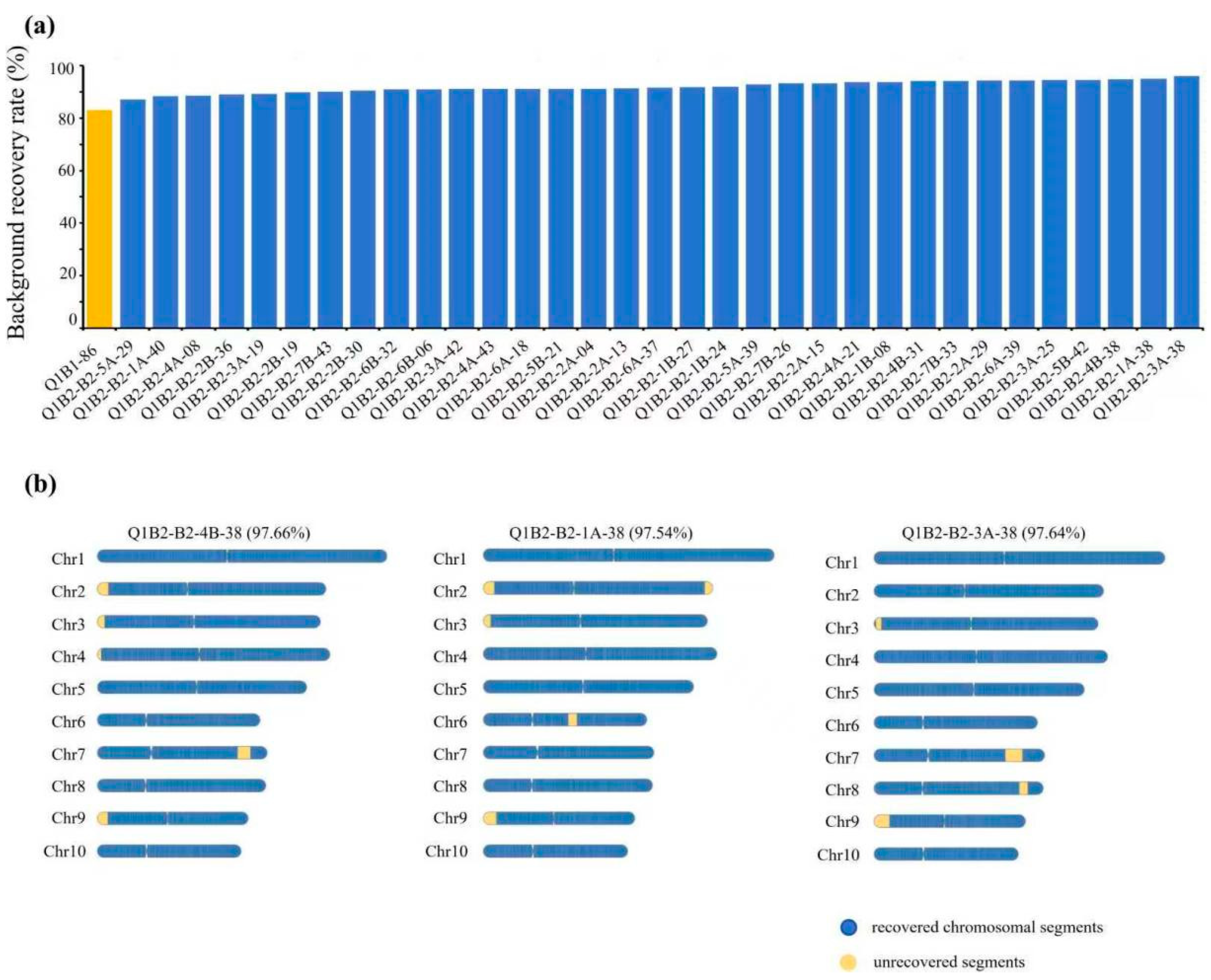 Genes 16 01480 g004 Genes 16 01480 g004