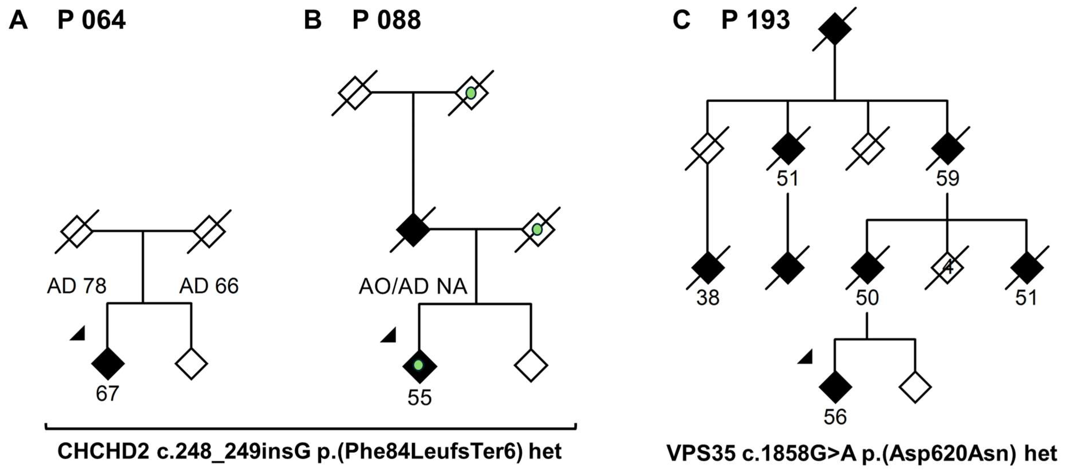 Genes 16 01482 g001 Genes 16 01482 g001