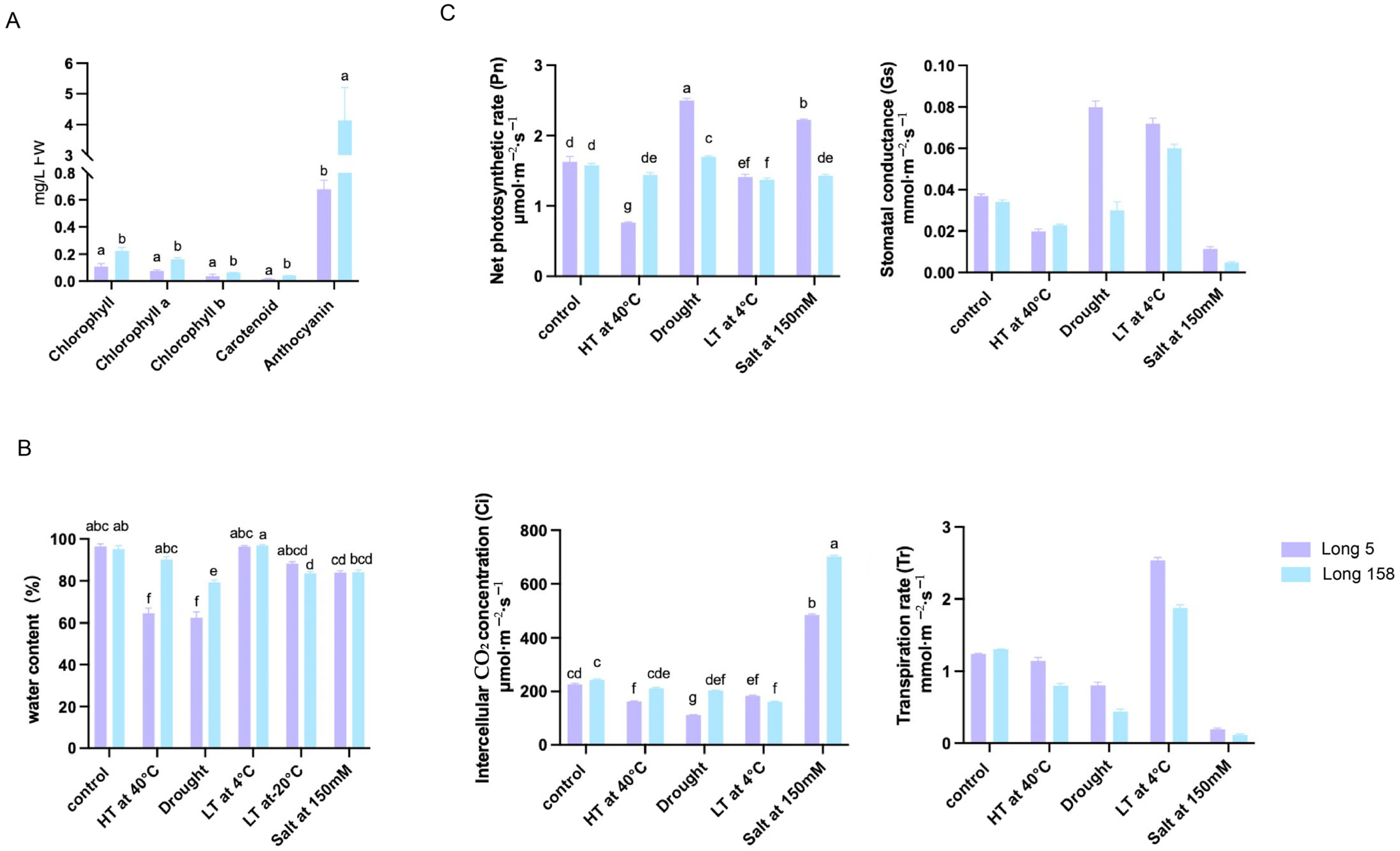 Genes 16 01486 g003