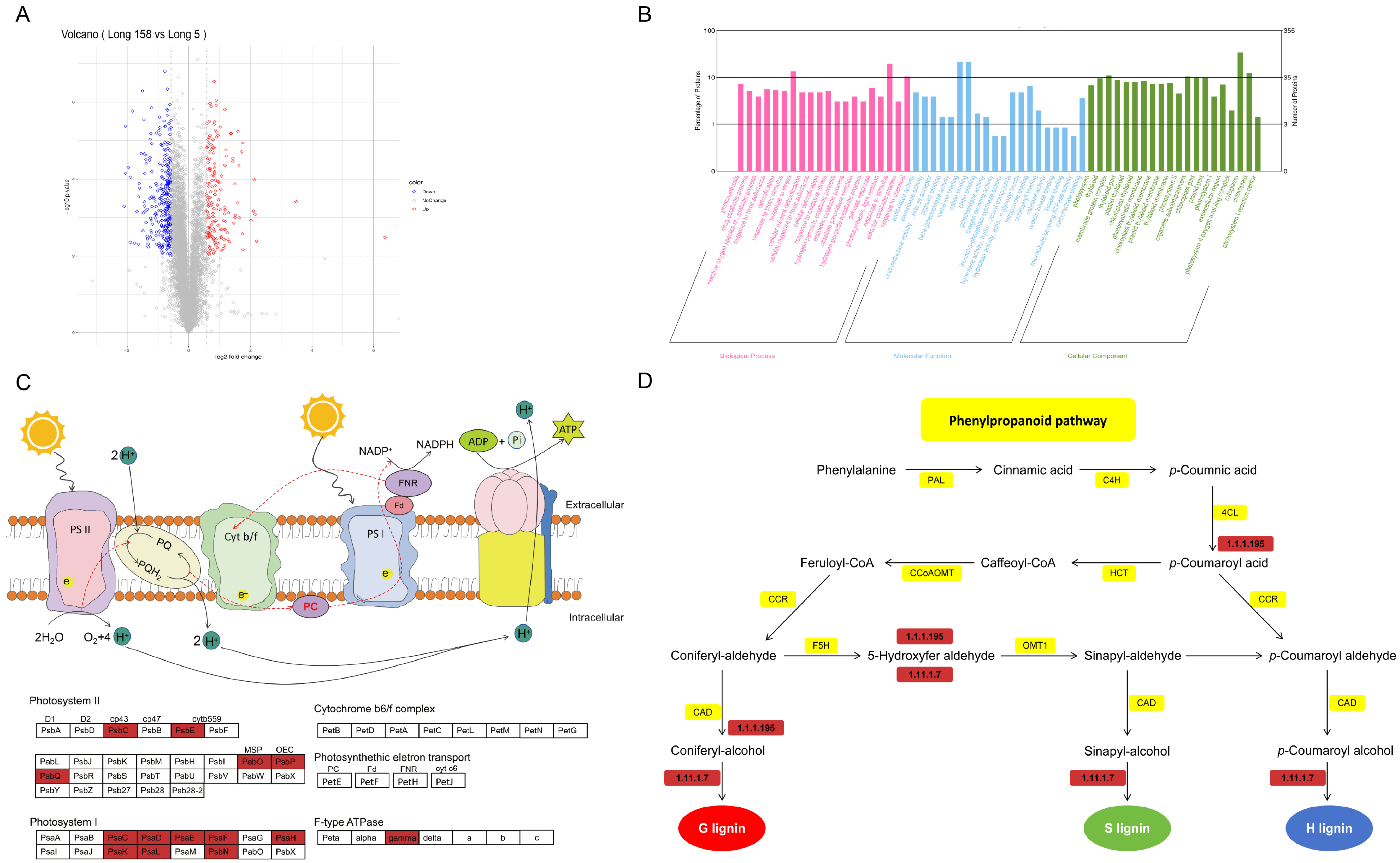 Genes 16 01486 g004