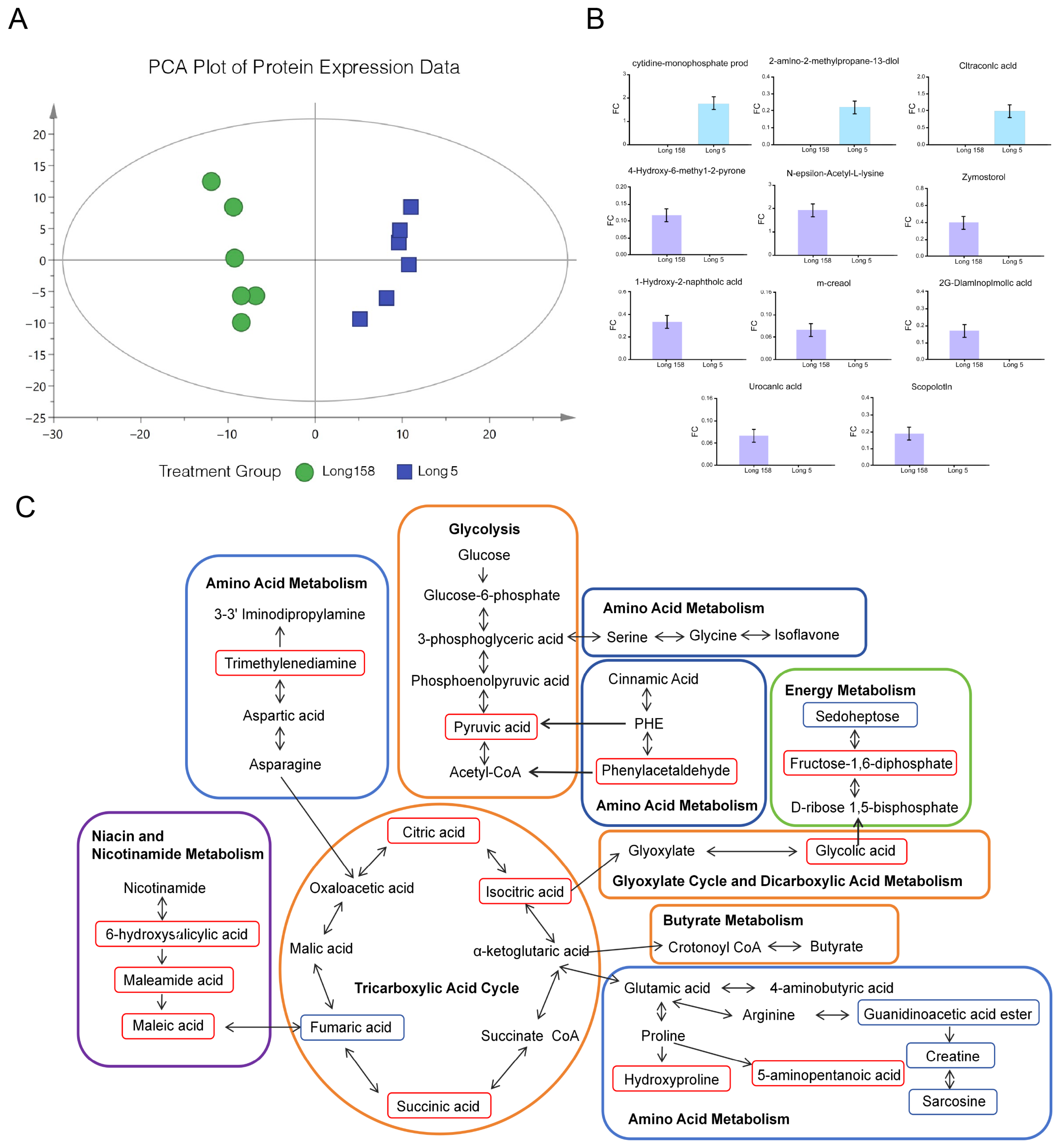 Genes 16 01486 g005