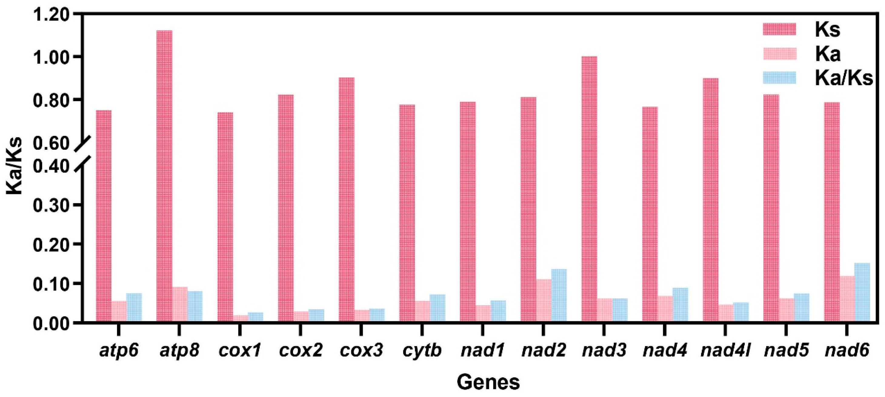 Genes 16 01488 g005