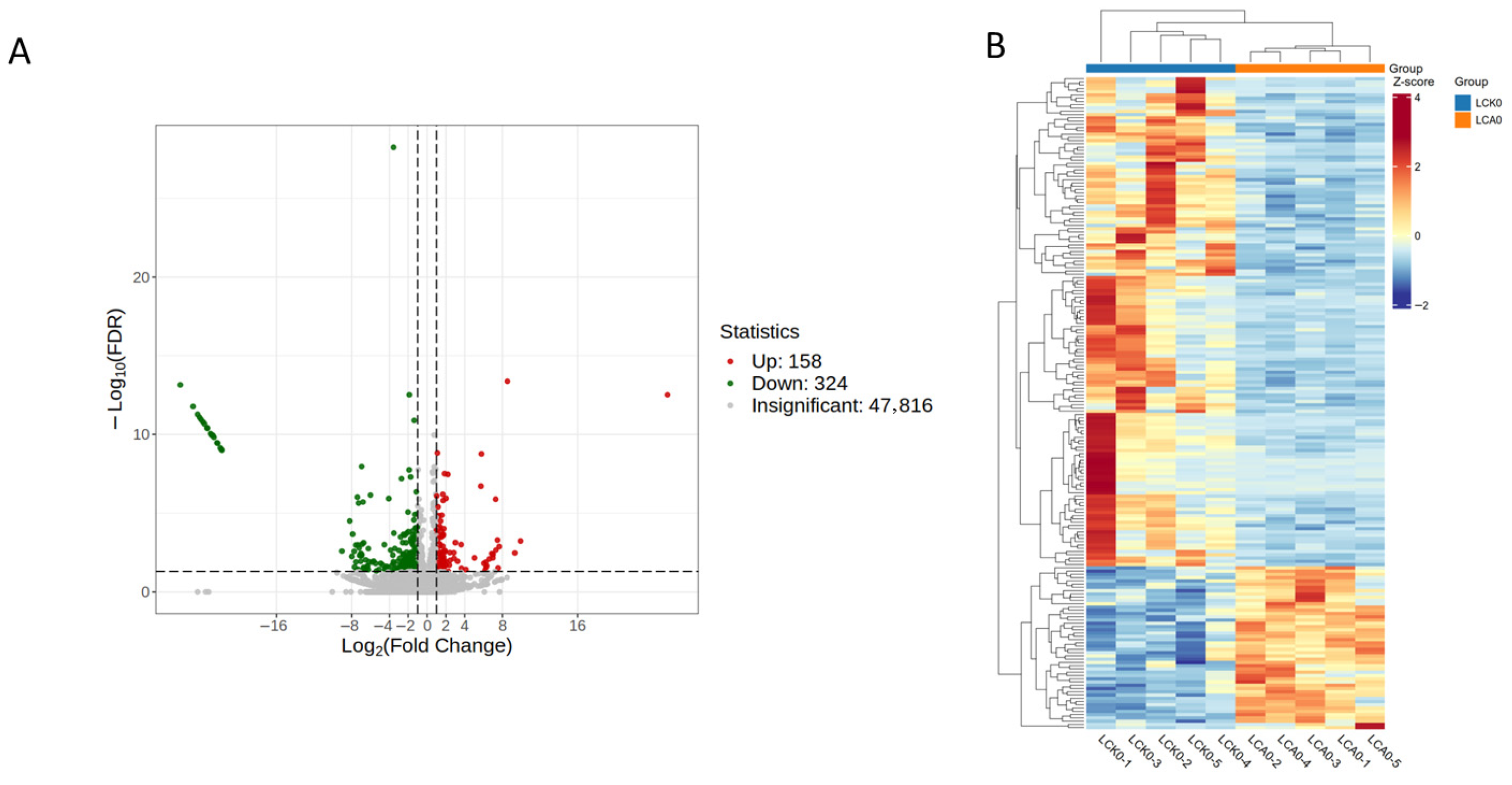 Genes 16 01491 g003 Genes 16 01491 g003