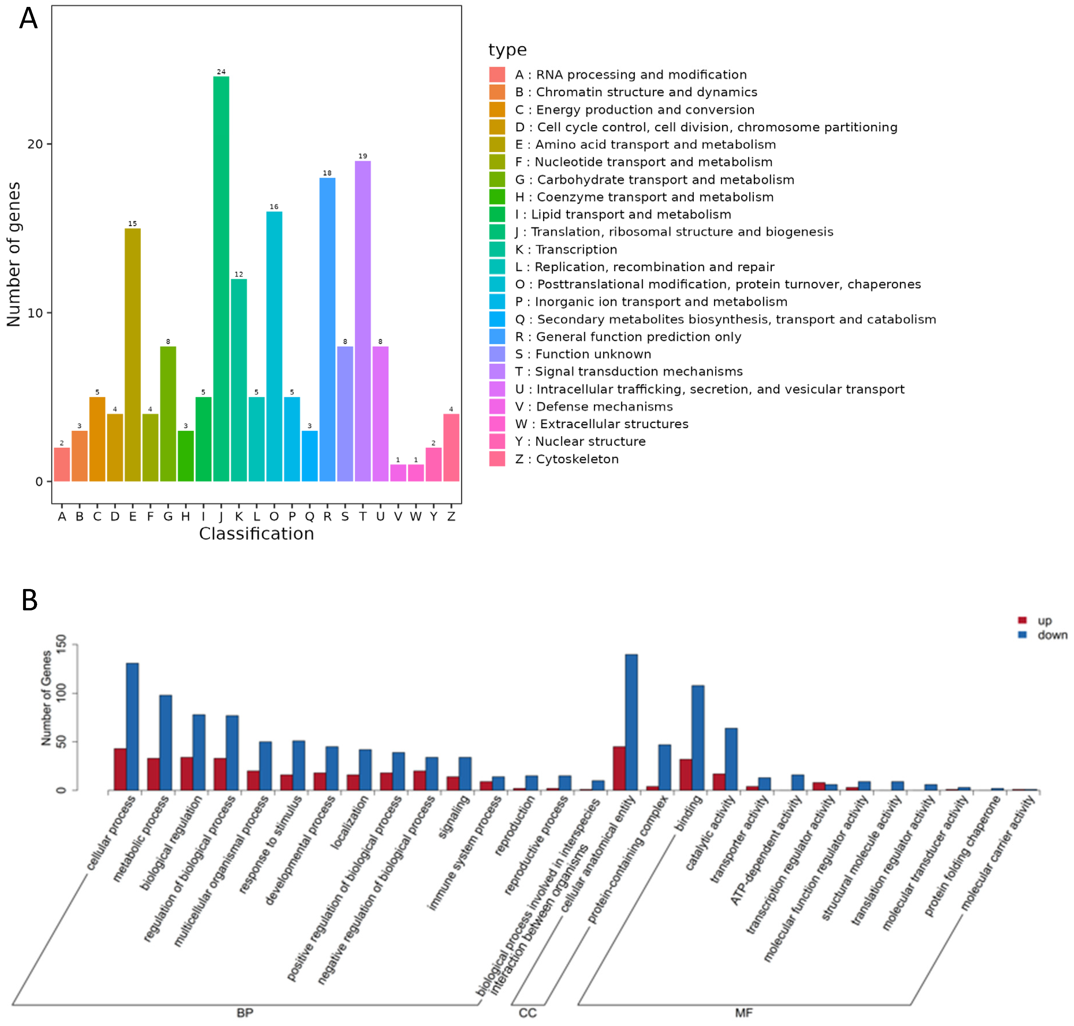 Genes 16 01491 g004 Genes 16 01491 g004