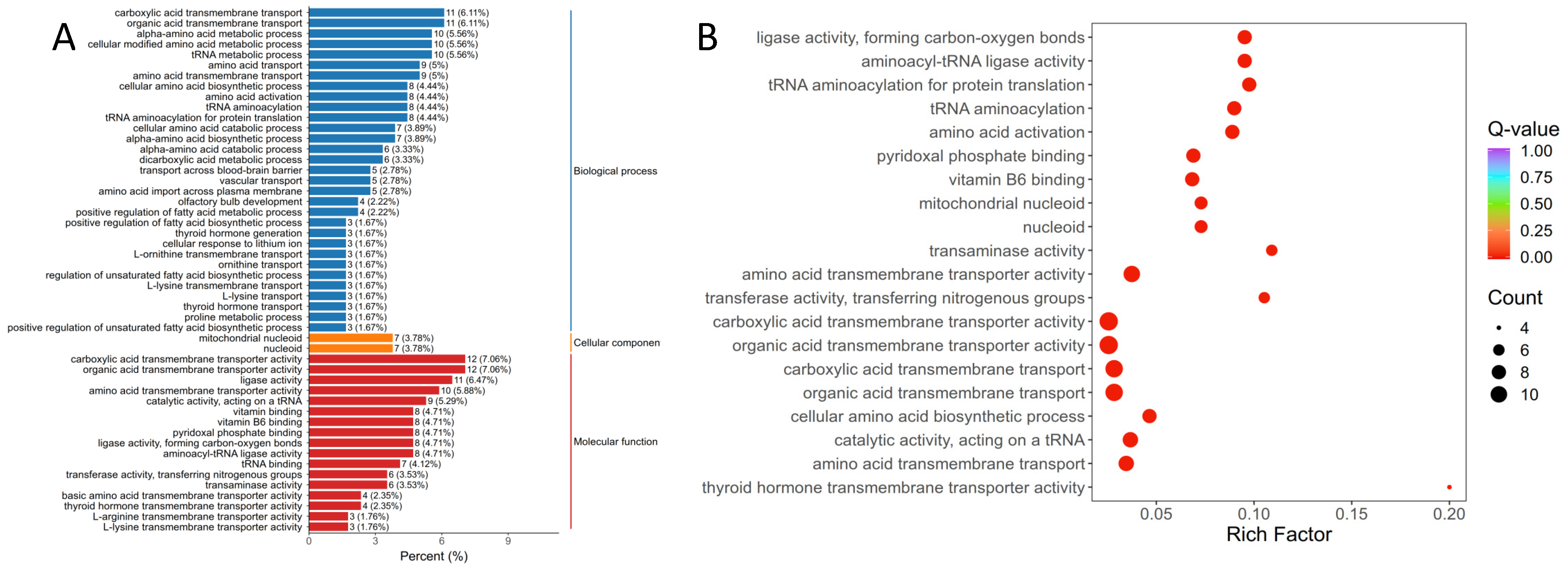 Genes 16 01491 g005 Genes 16 01491 g005