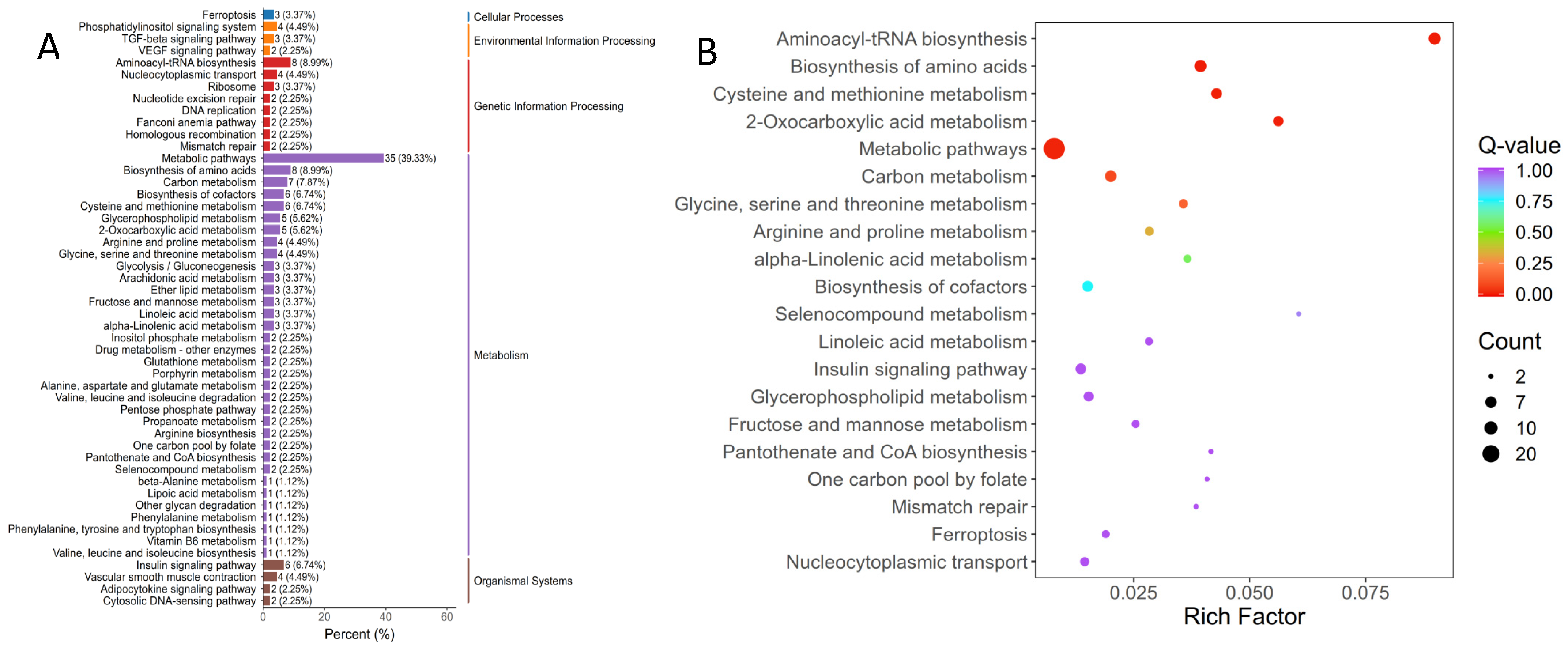 Genes 16 01491 g006 Genes 16 01491 g006