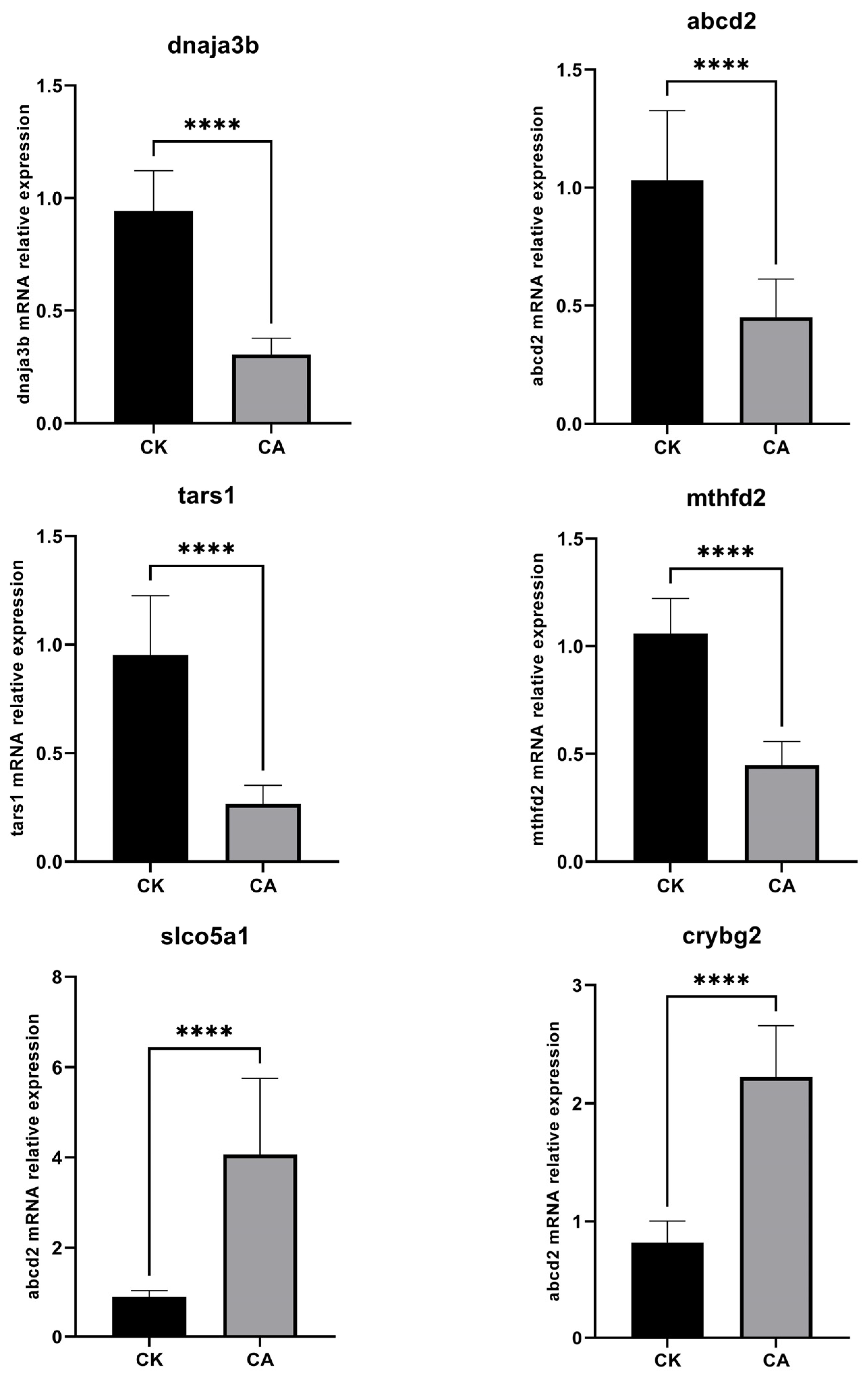 Genes 16 01491 g007 Genes 16 01491 g007