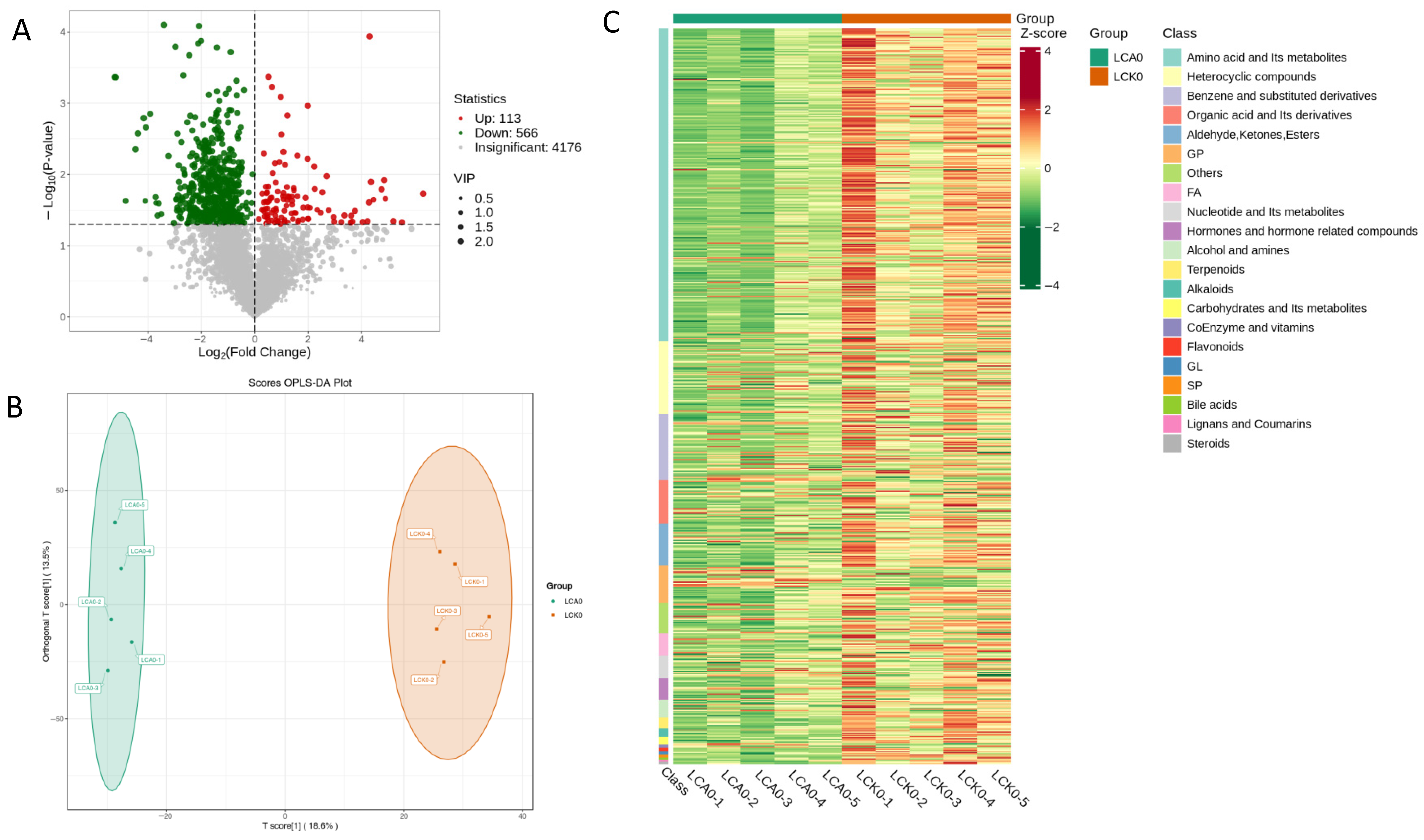 Genes 16 01491 g008 Genes 16 01491 g008