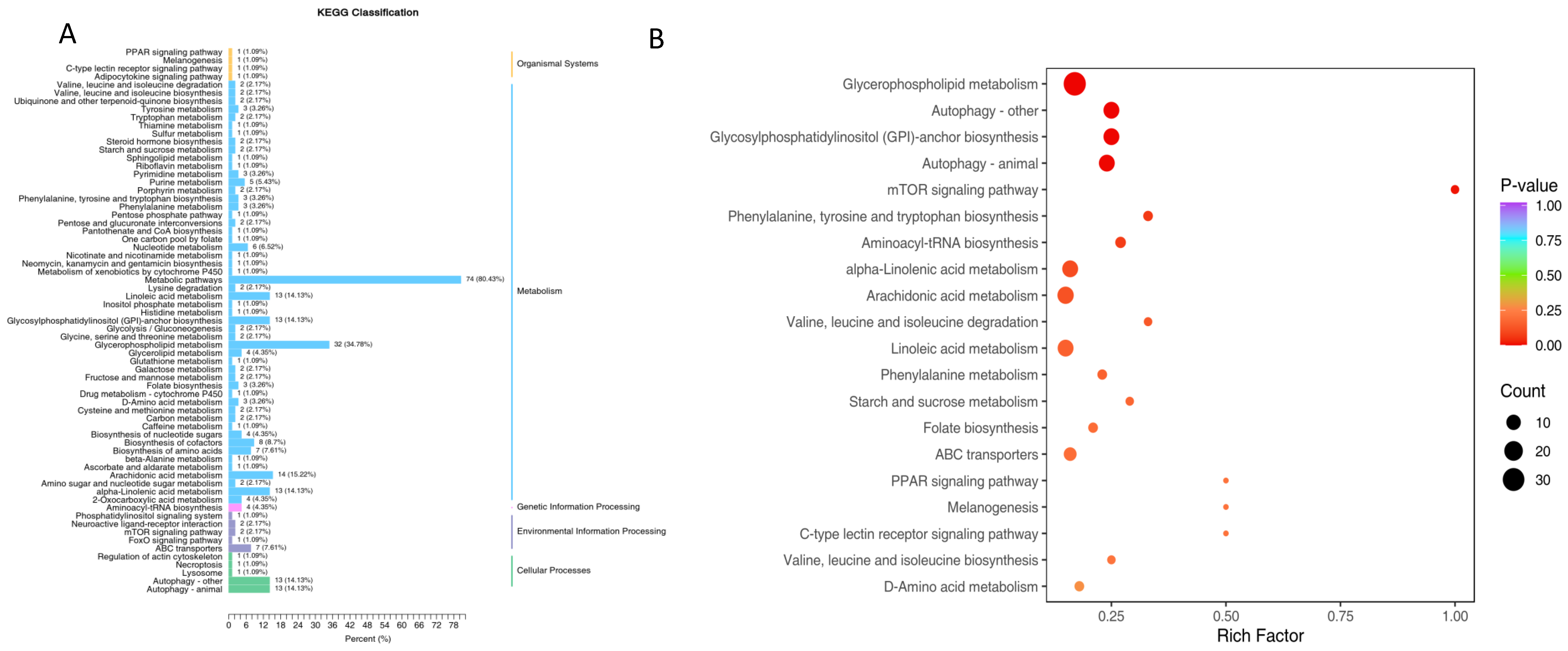 Genes 16 01491 g010 Genes 16 01491 g010