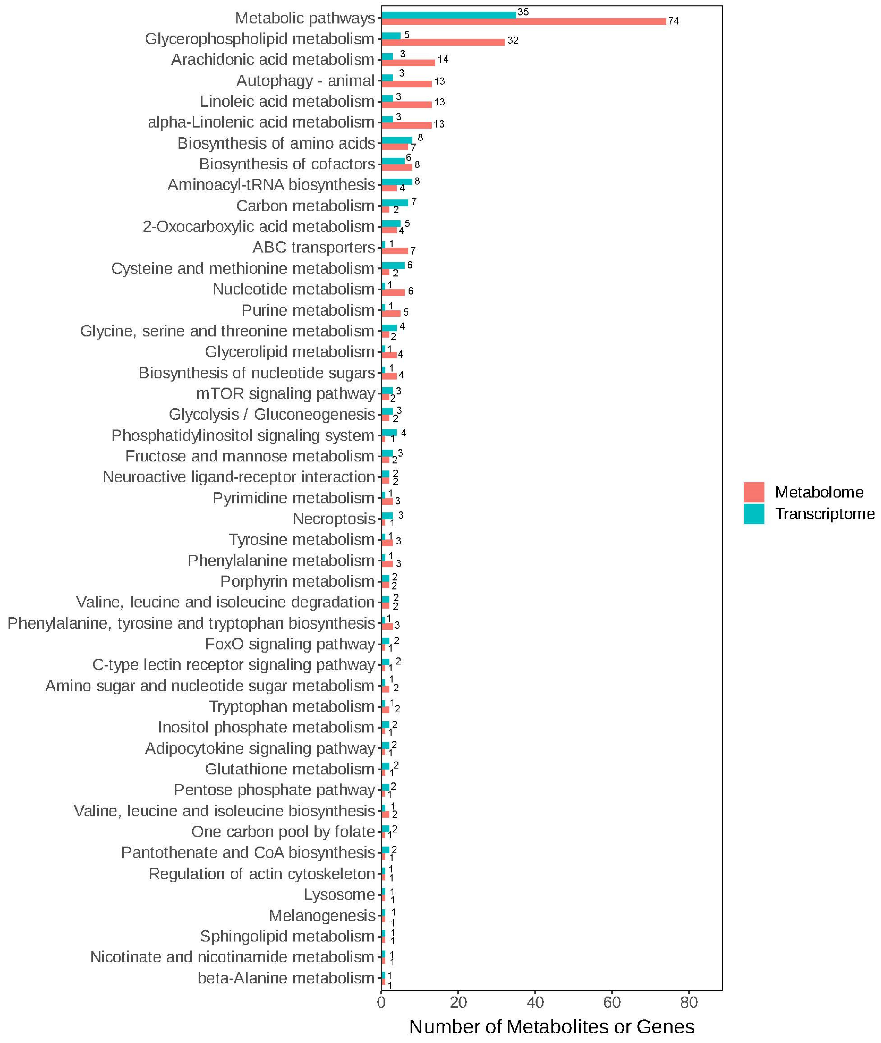 Genes 16 01491 g011 Genes 16 01491 g011