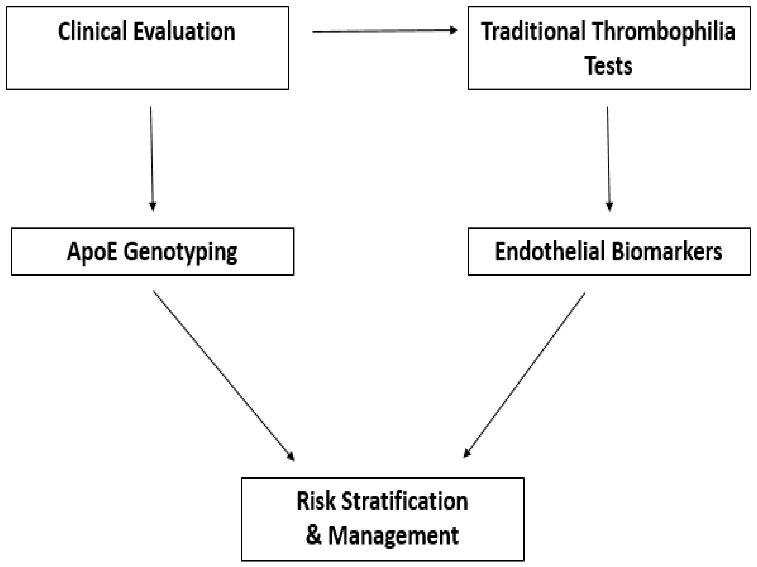 Genes 16 01494 g004