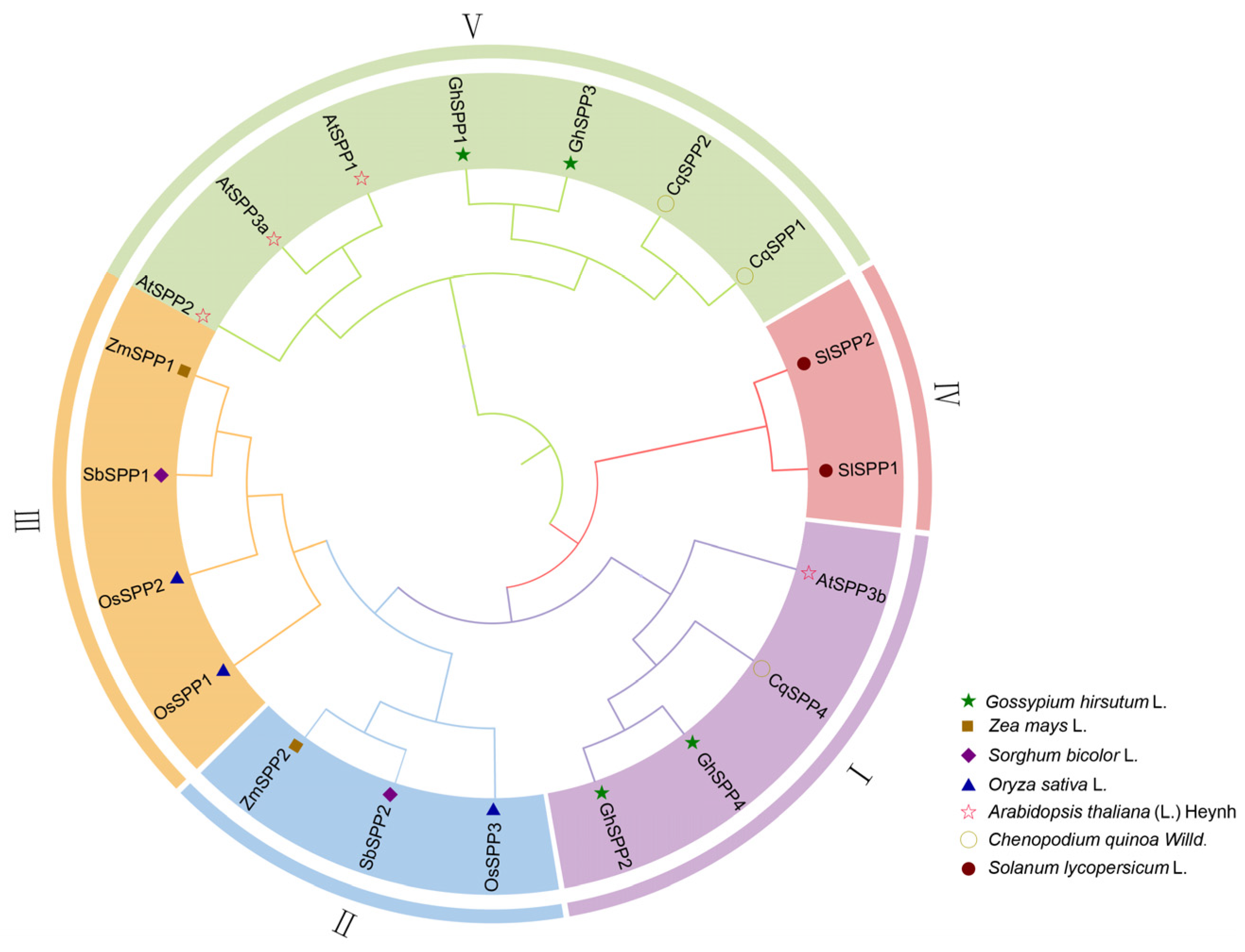 Genes 16 01500 g002