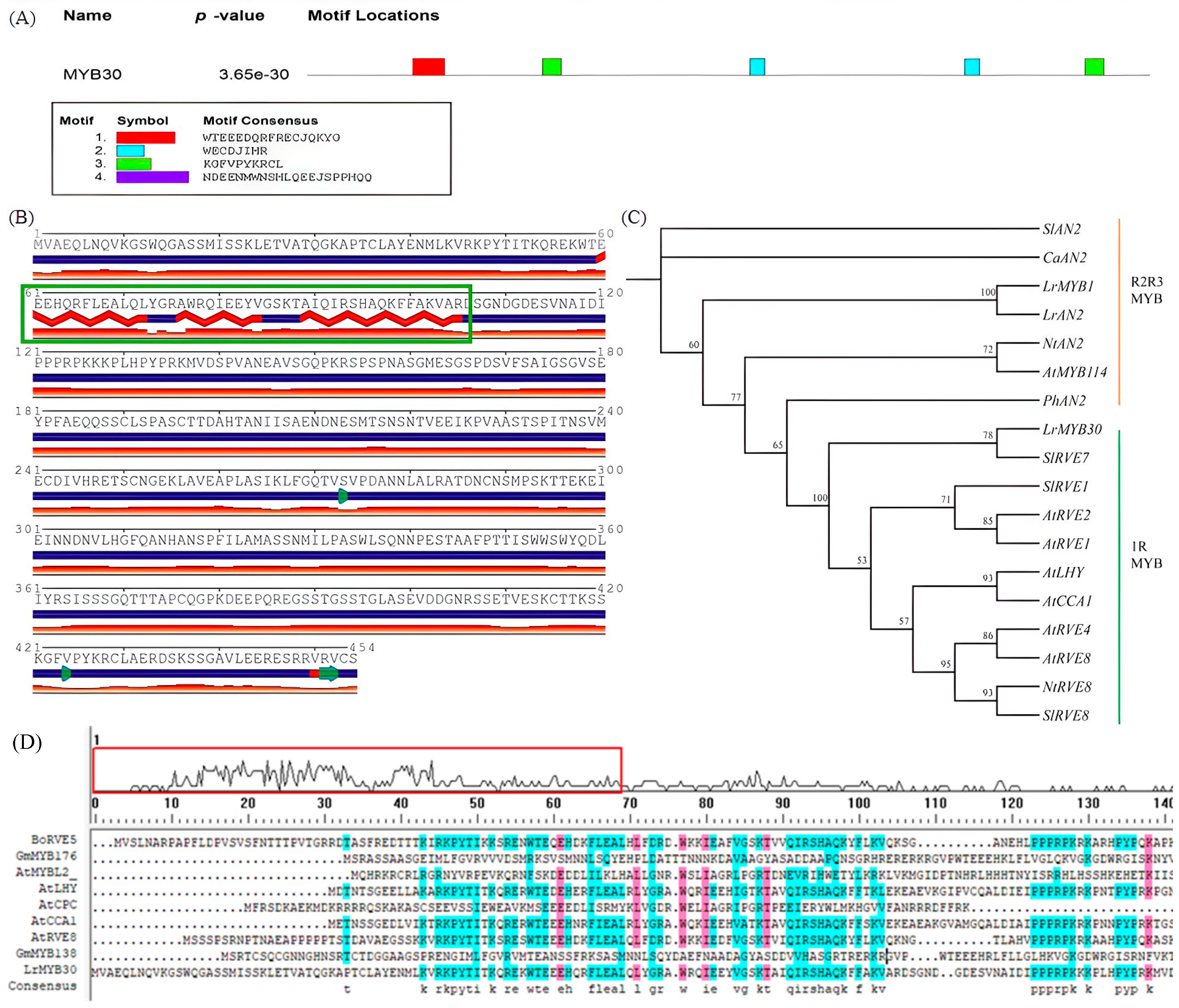 Genes 16 01501 g001 Genes 16 01501 g001