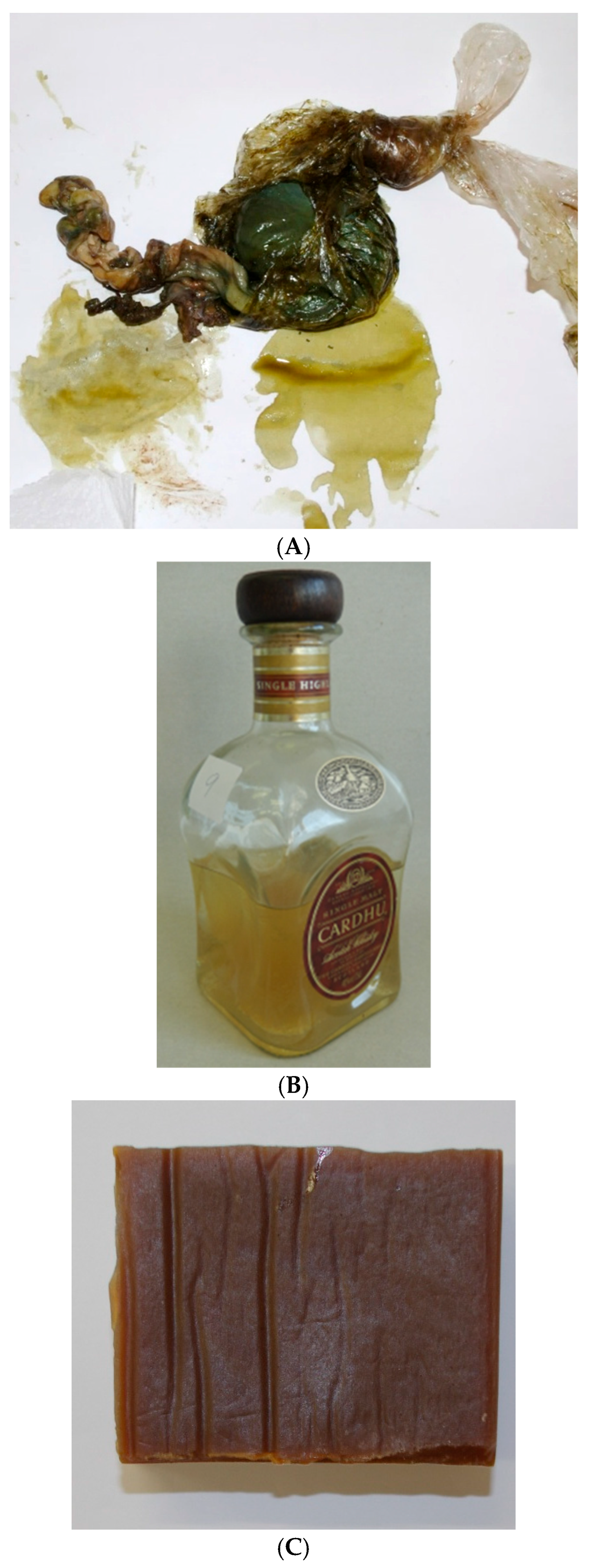 Genes 16 01503 g001 Genes 16 01503 g001