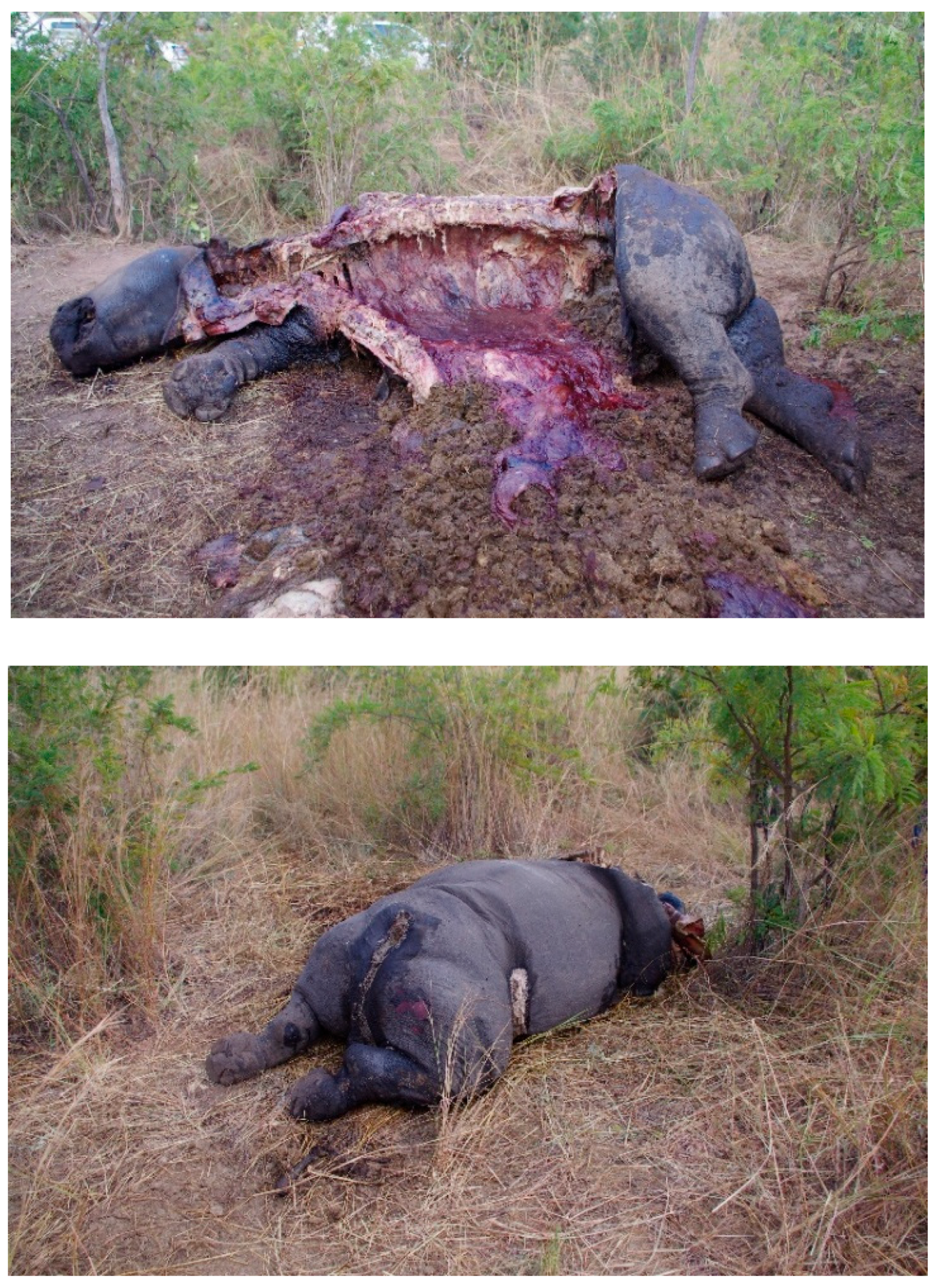 Genes 16 01503 g002 Genes 16 01503 g002