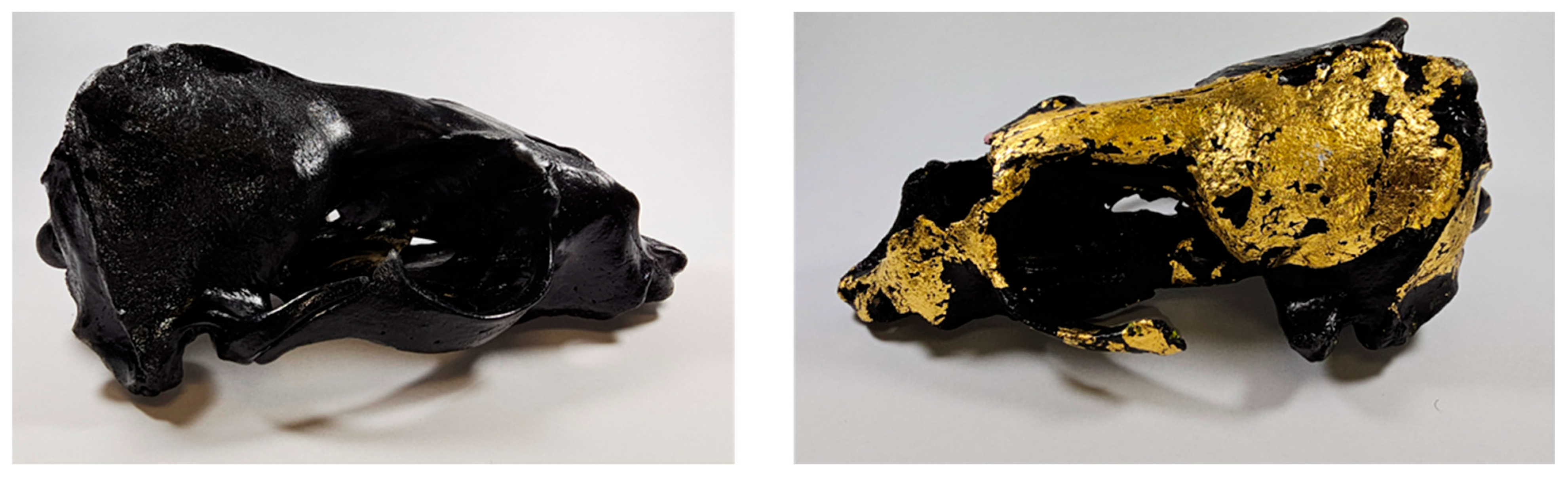 Genes 16 01503 g003 Genes 16 01503 g003