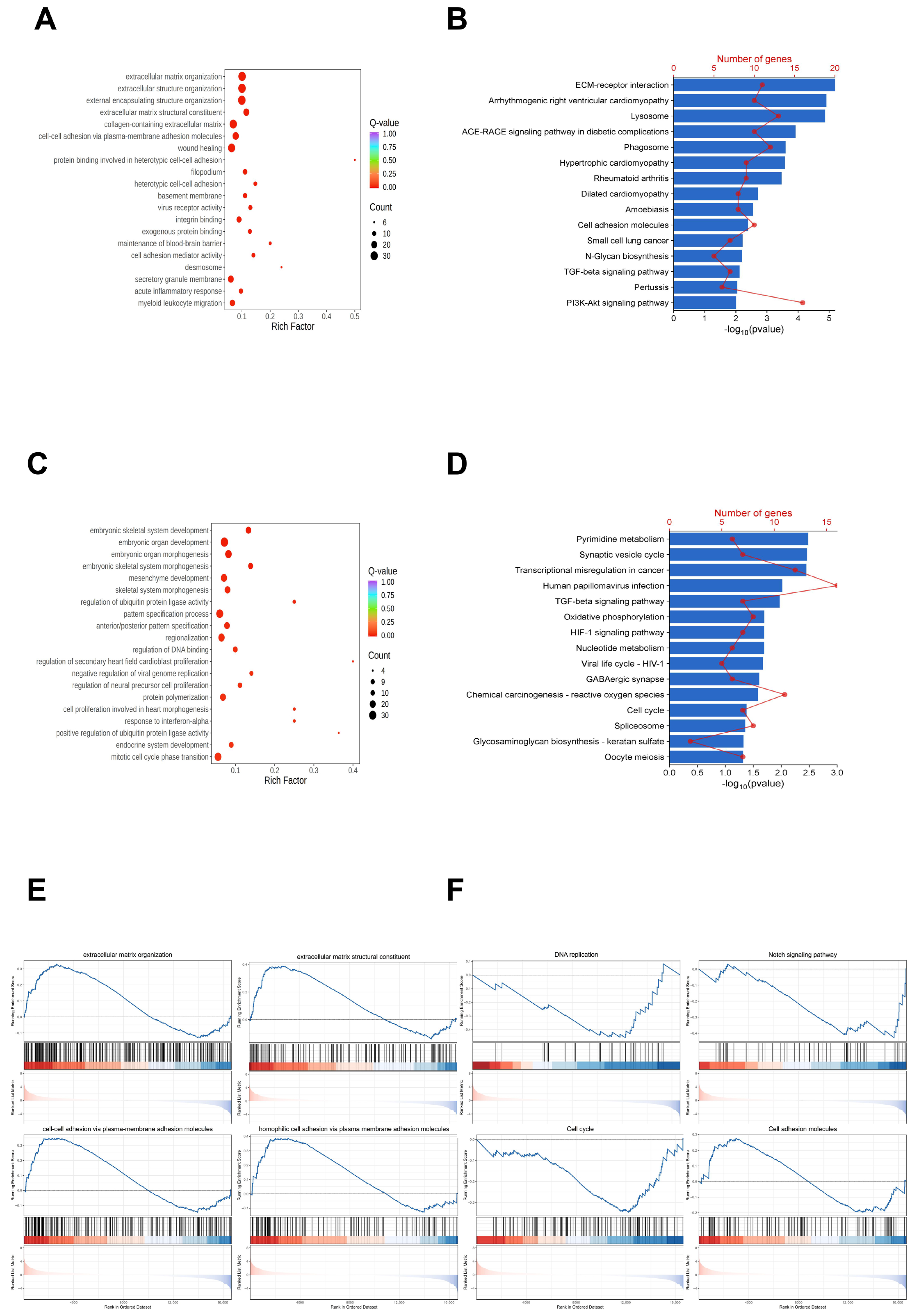 Genes 16 01517 g003