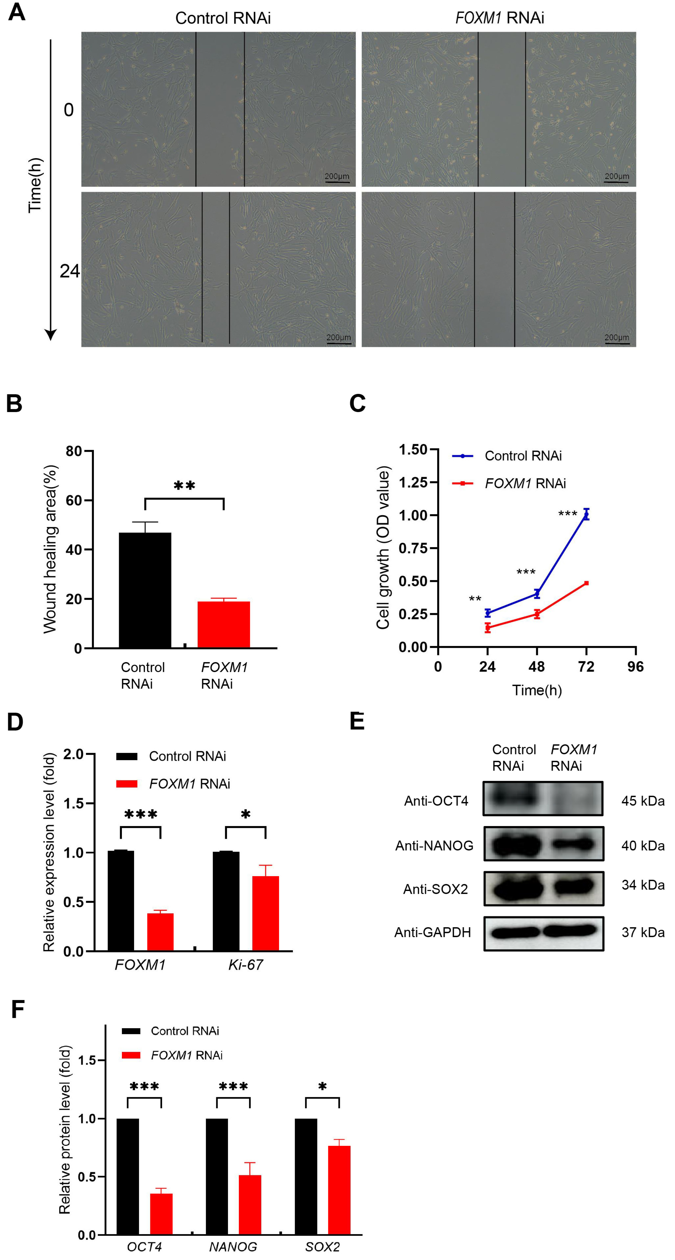 Genes 16 01517 g004