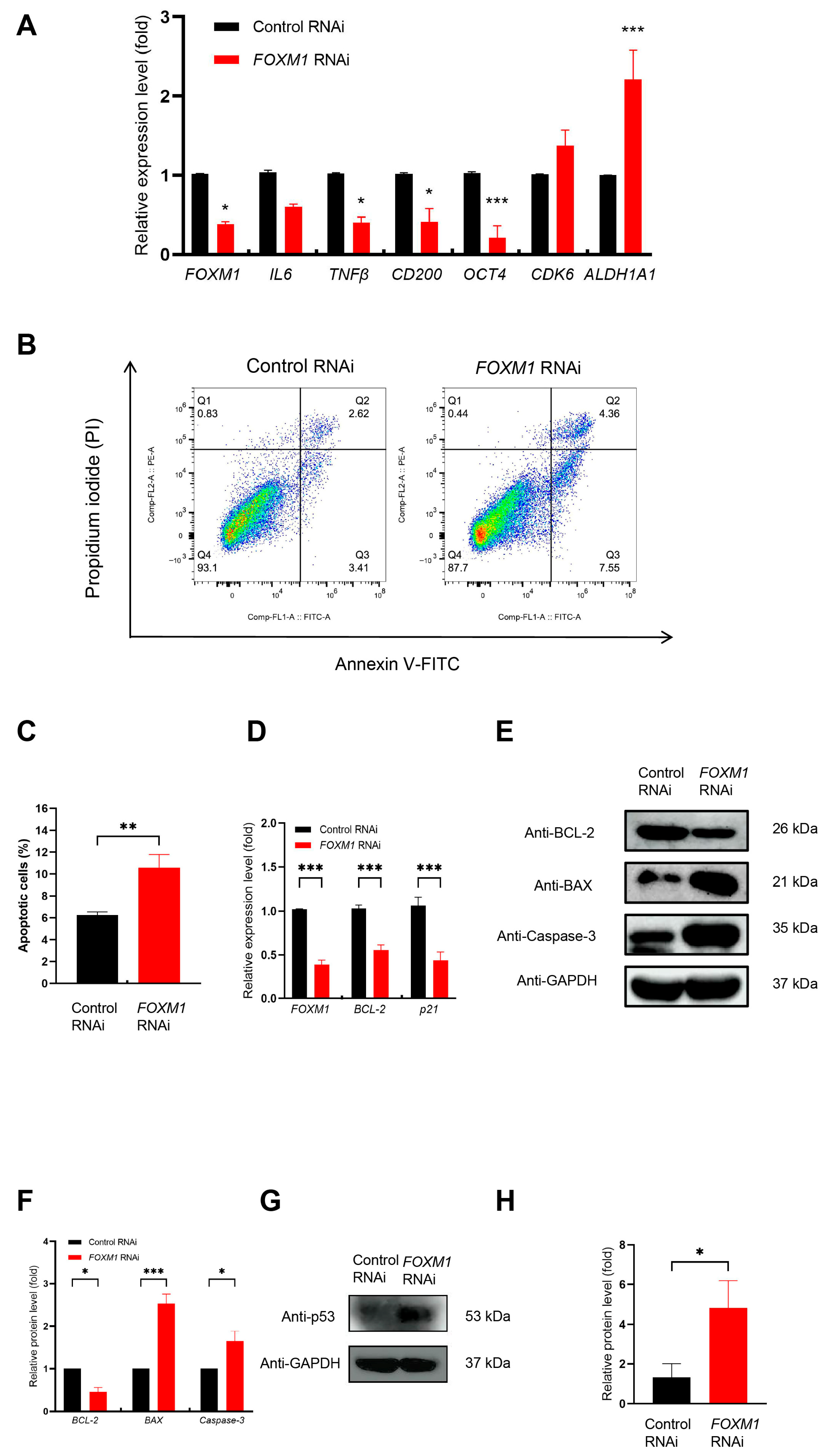 Genes 16 01517 g006