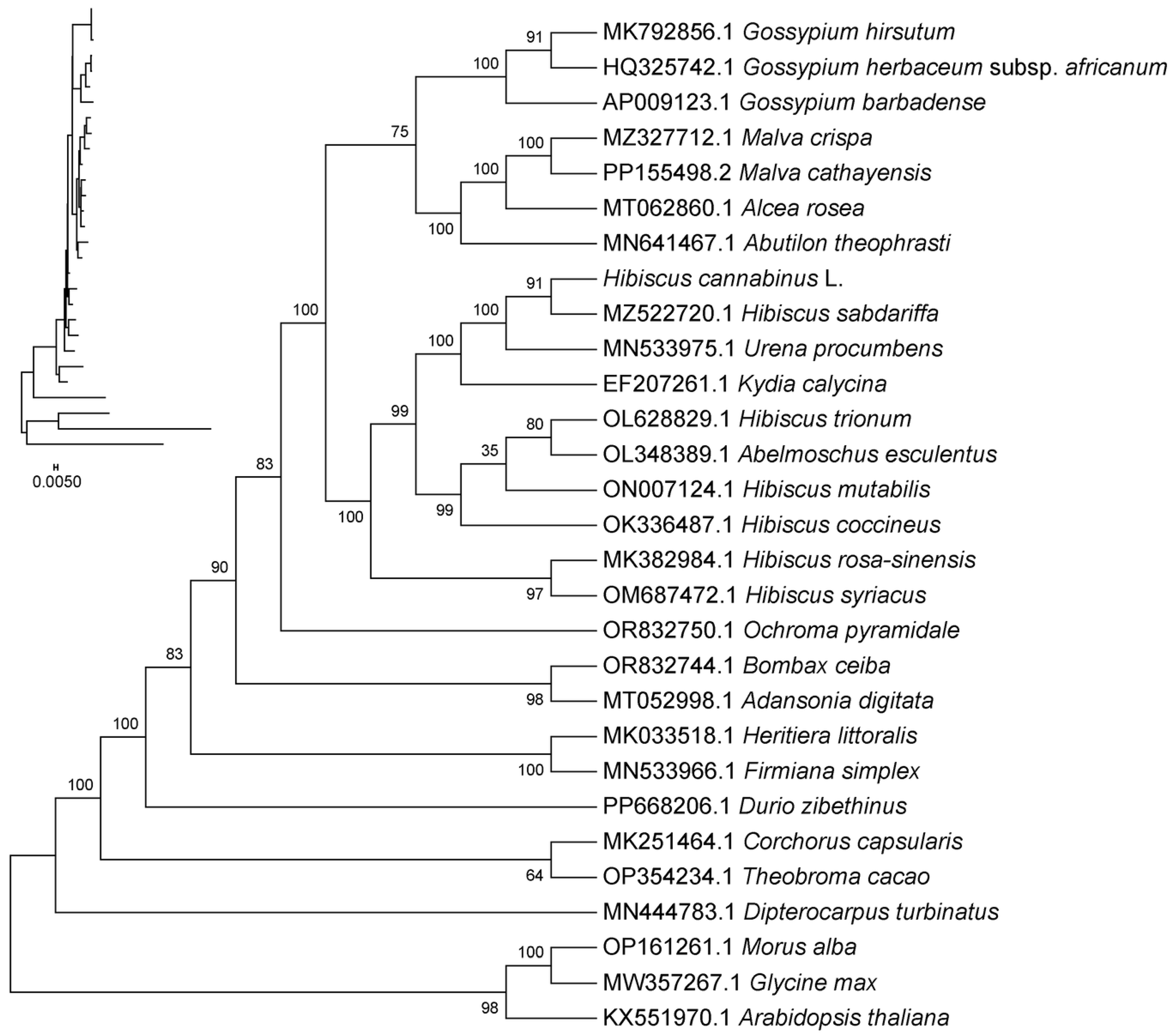 Genes 16 01519 g008