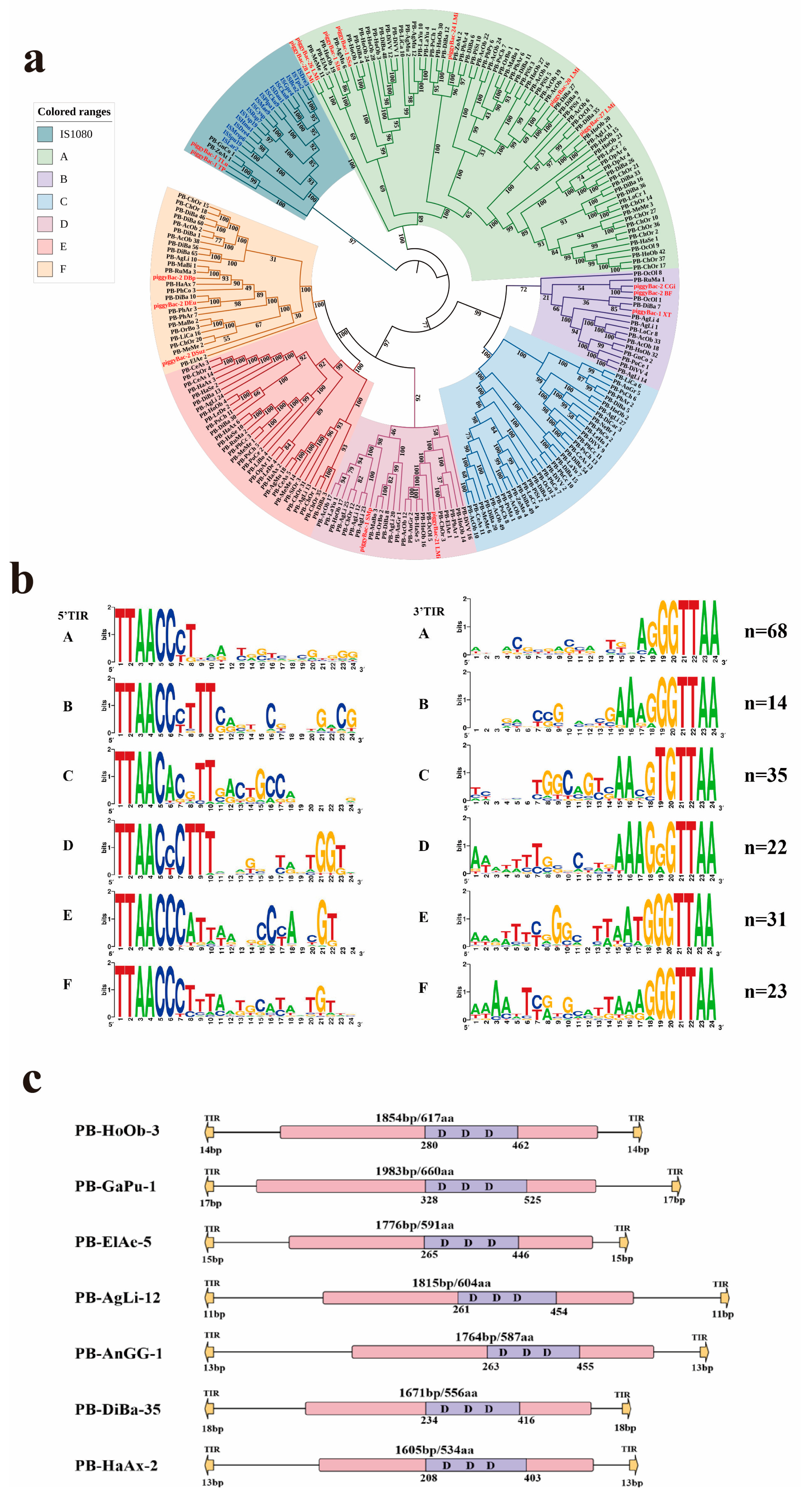 Genes 16 01521 g002