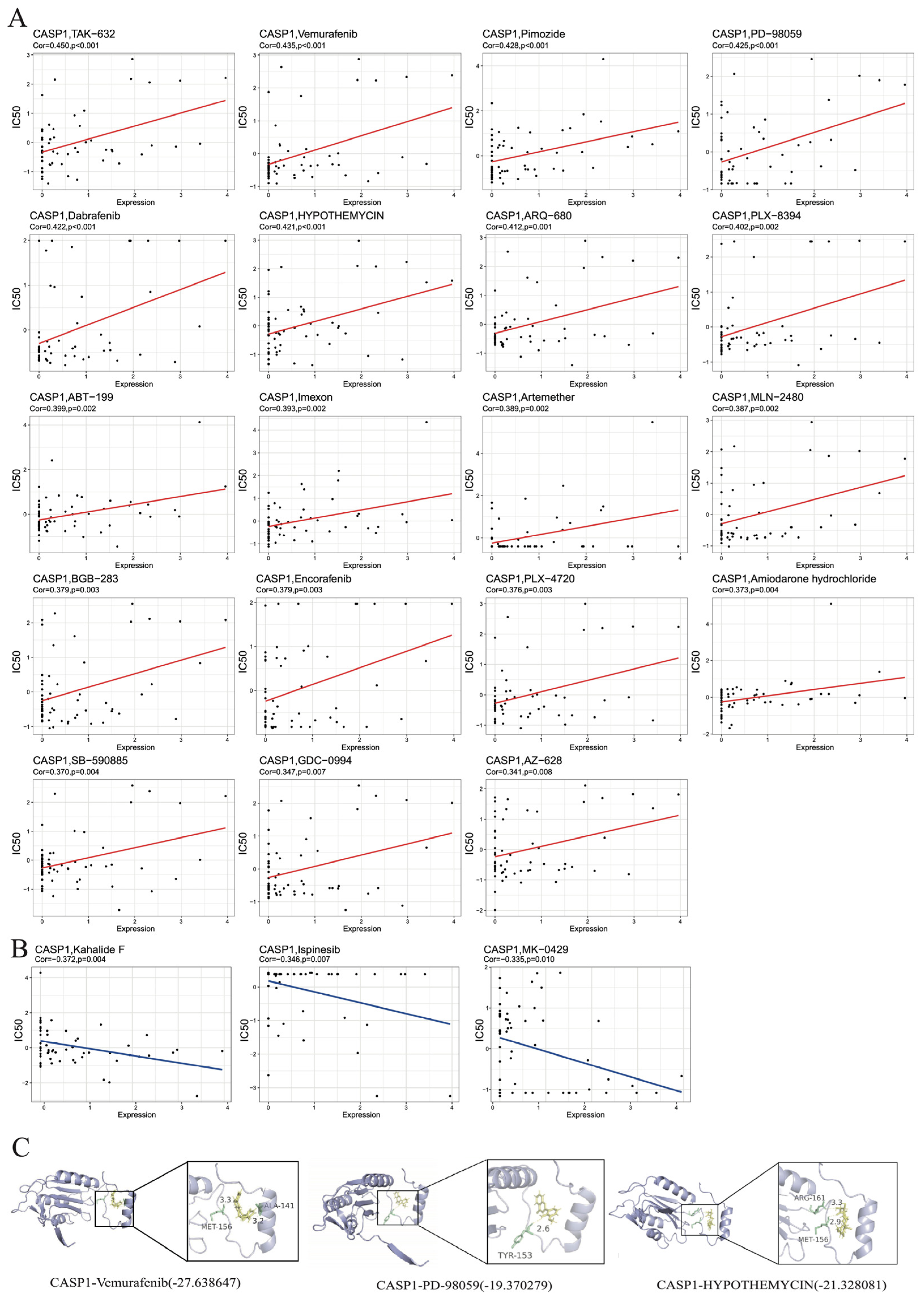 Genes 17 00004 g004 Genes 17 00004 g004