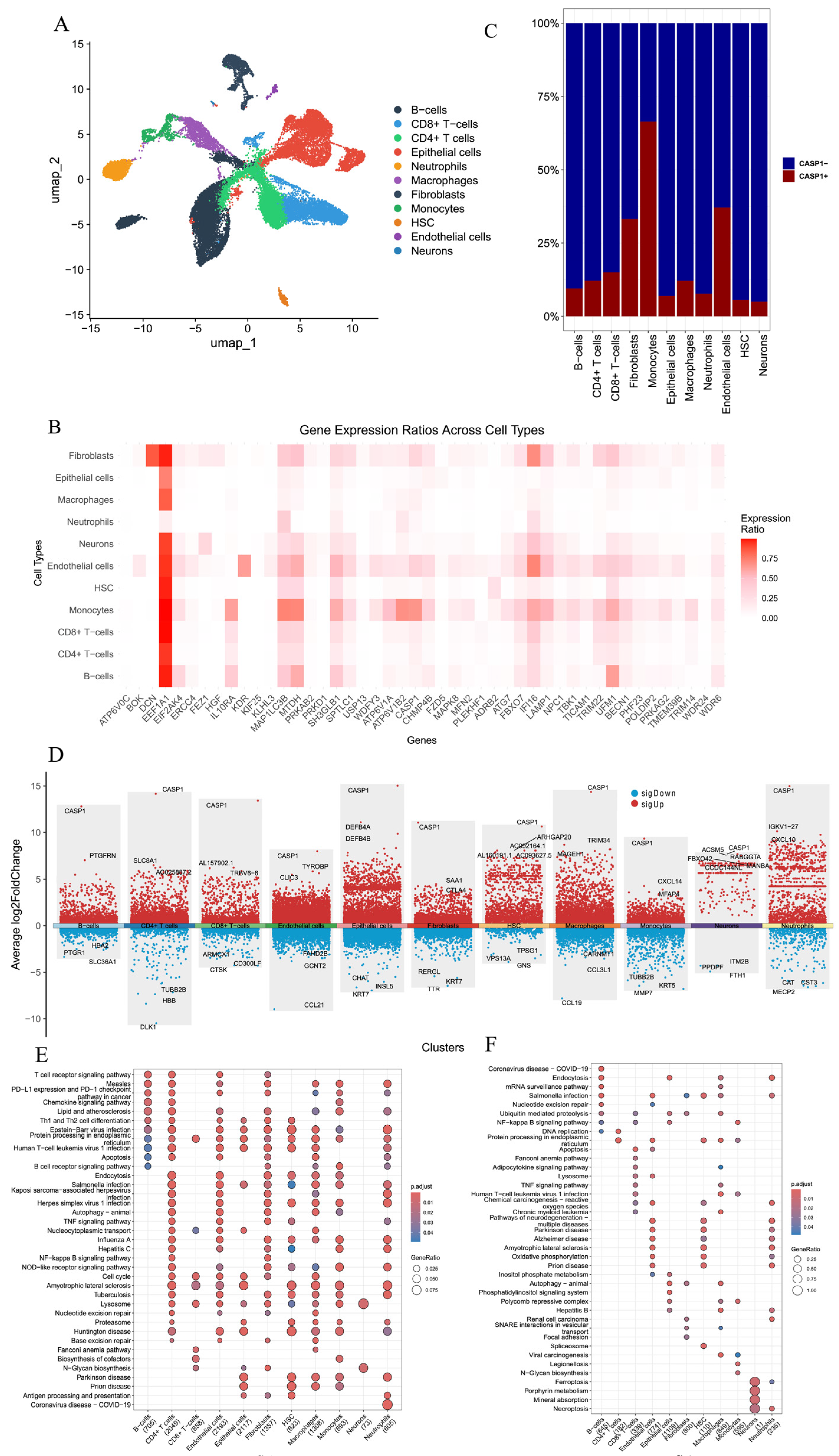 Genes 17 00004 g005 Genes 17 00004 g005