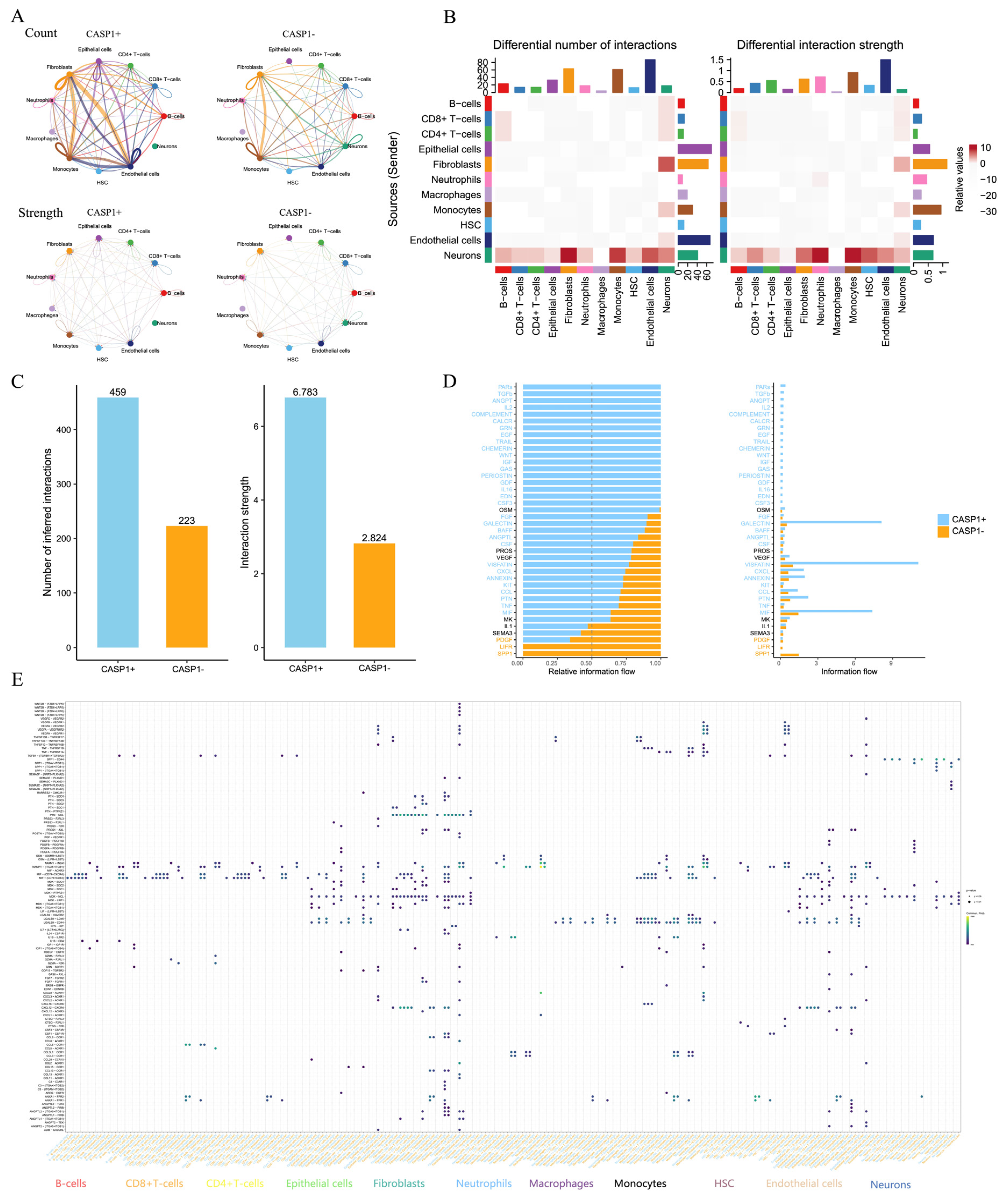 Genes 17 00004 g006 Genes 17 00004 g006