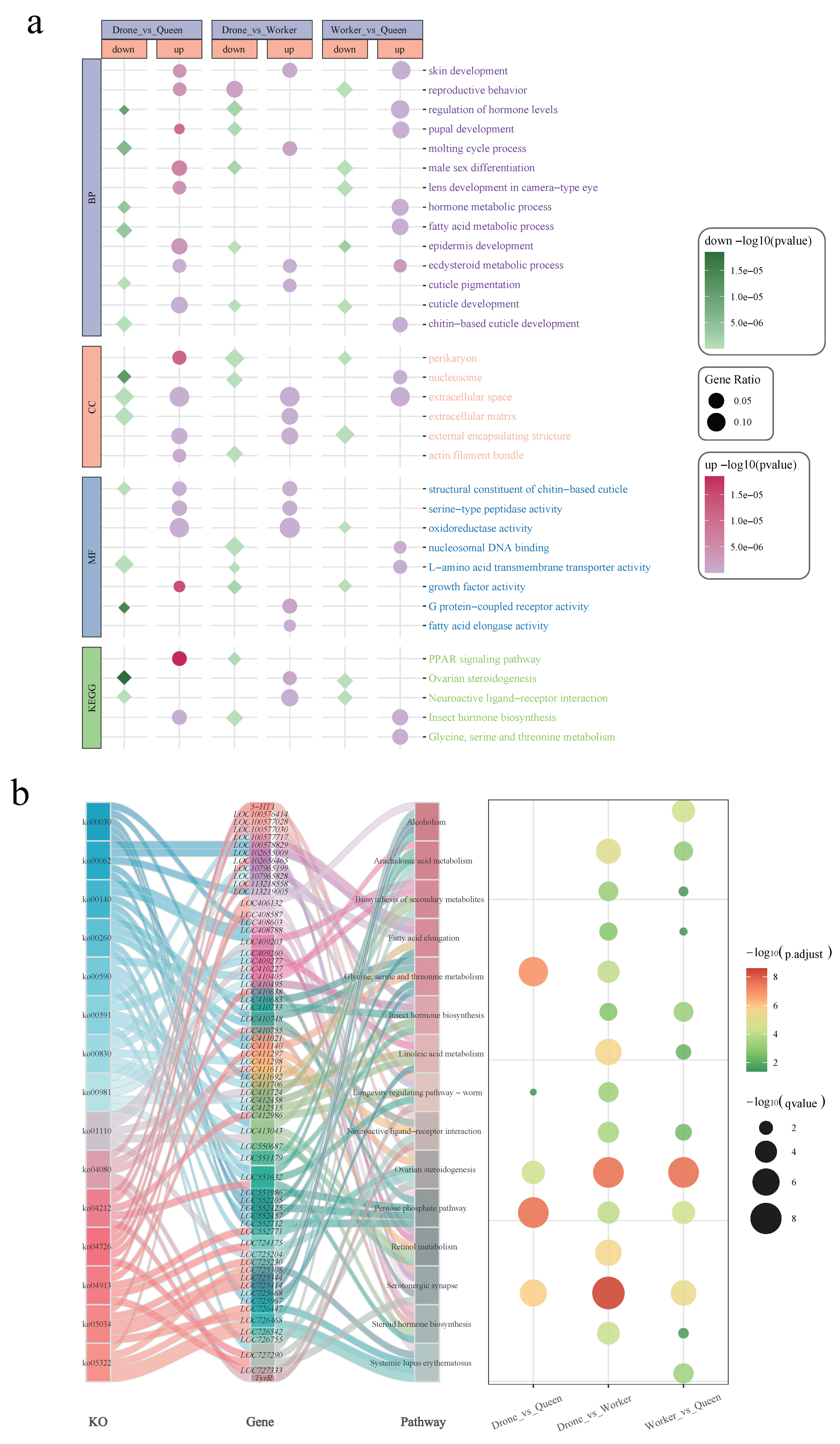 Genes 17 00017 g006