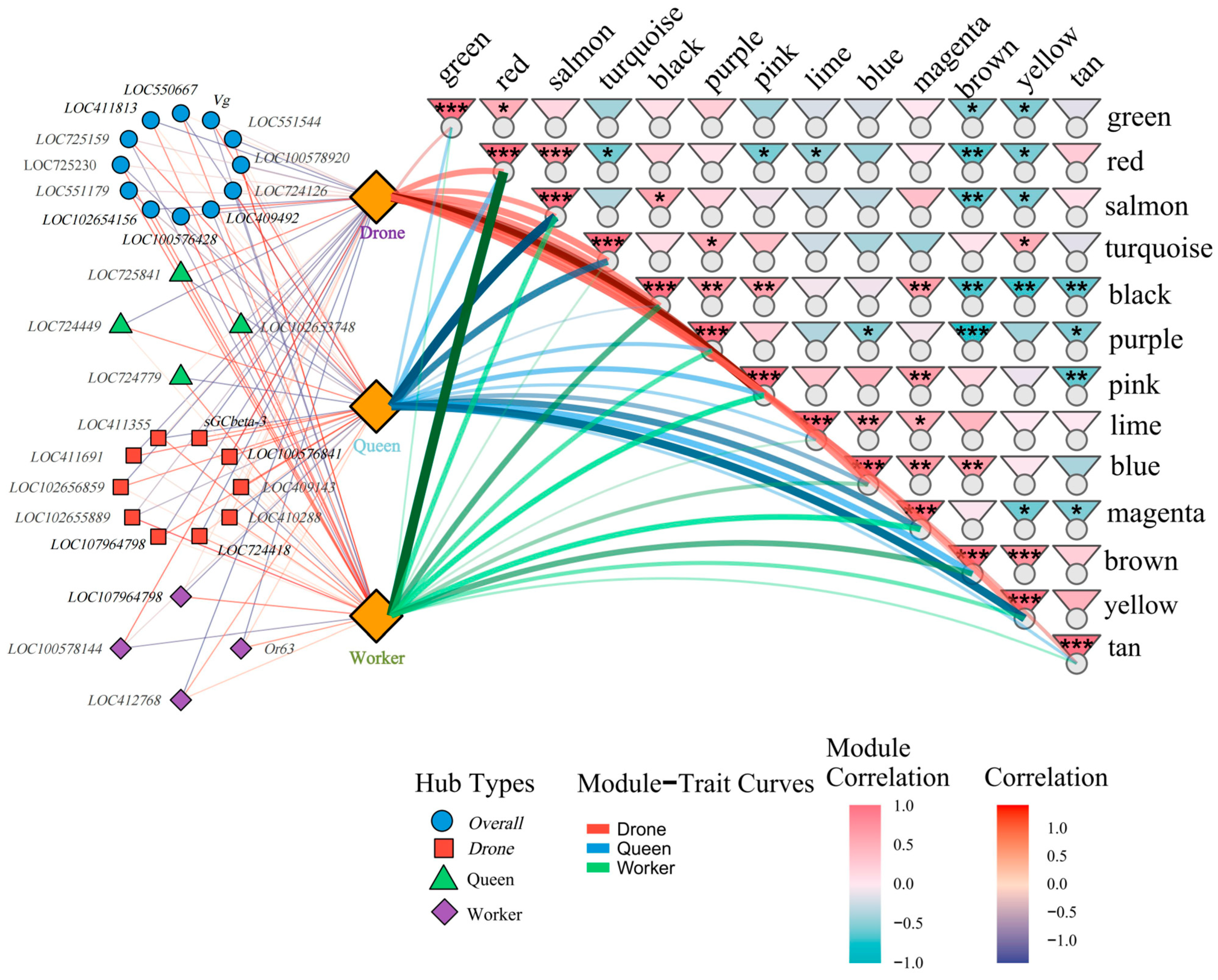 Genes 17 00017 g009