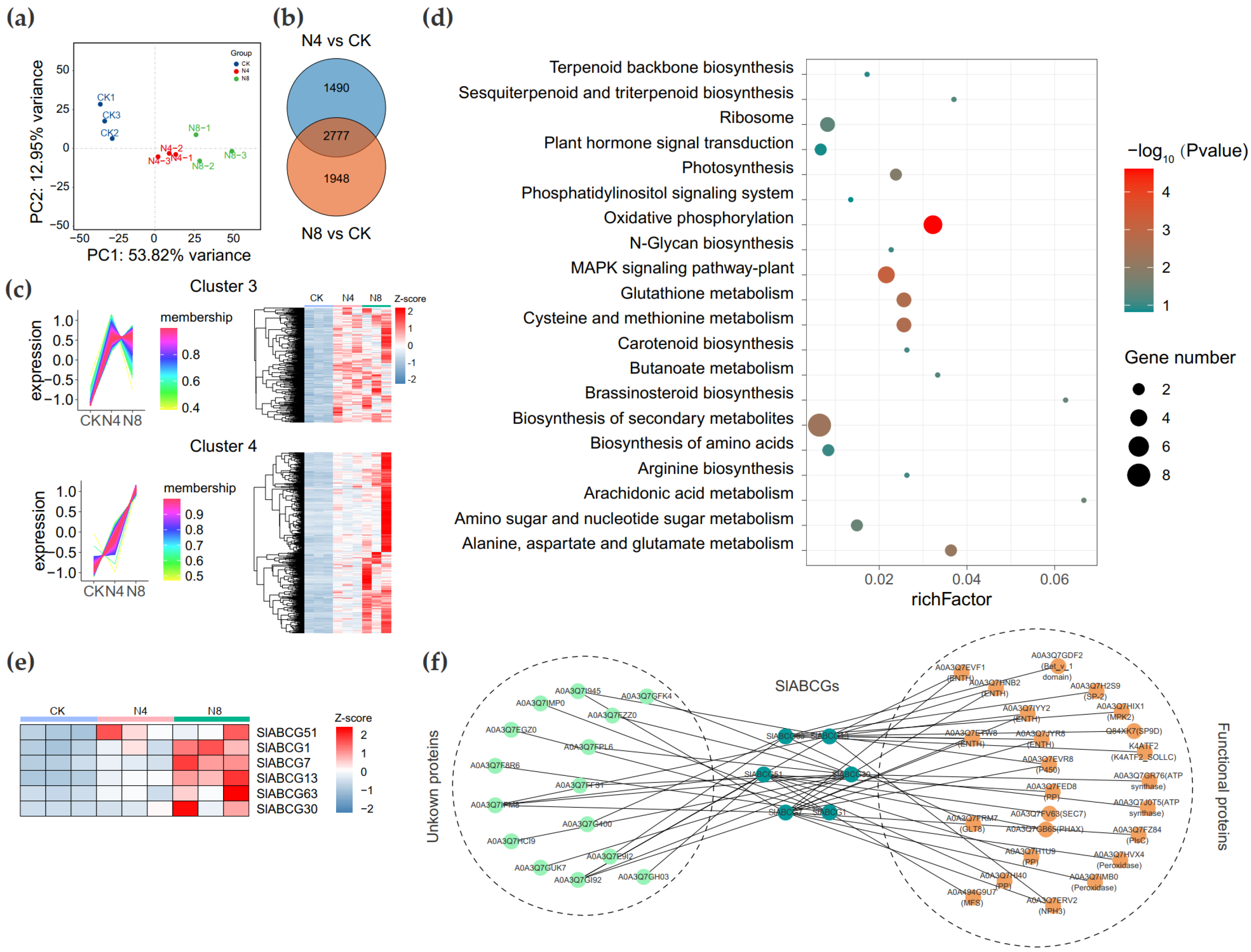 Genes 17 00019 g005
