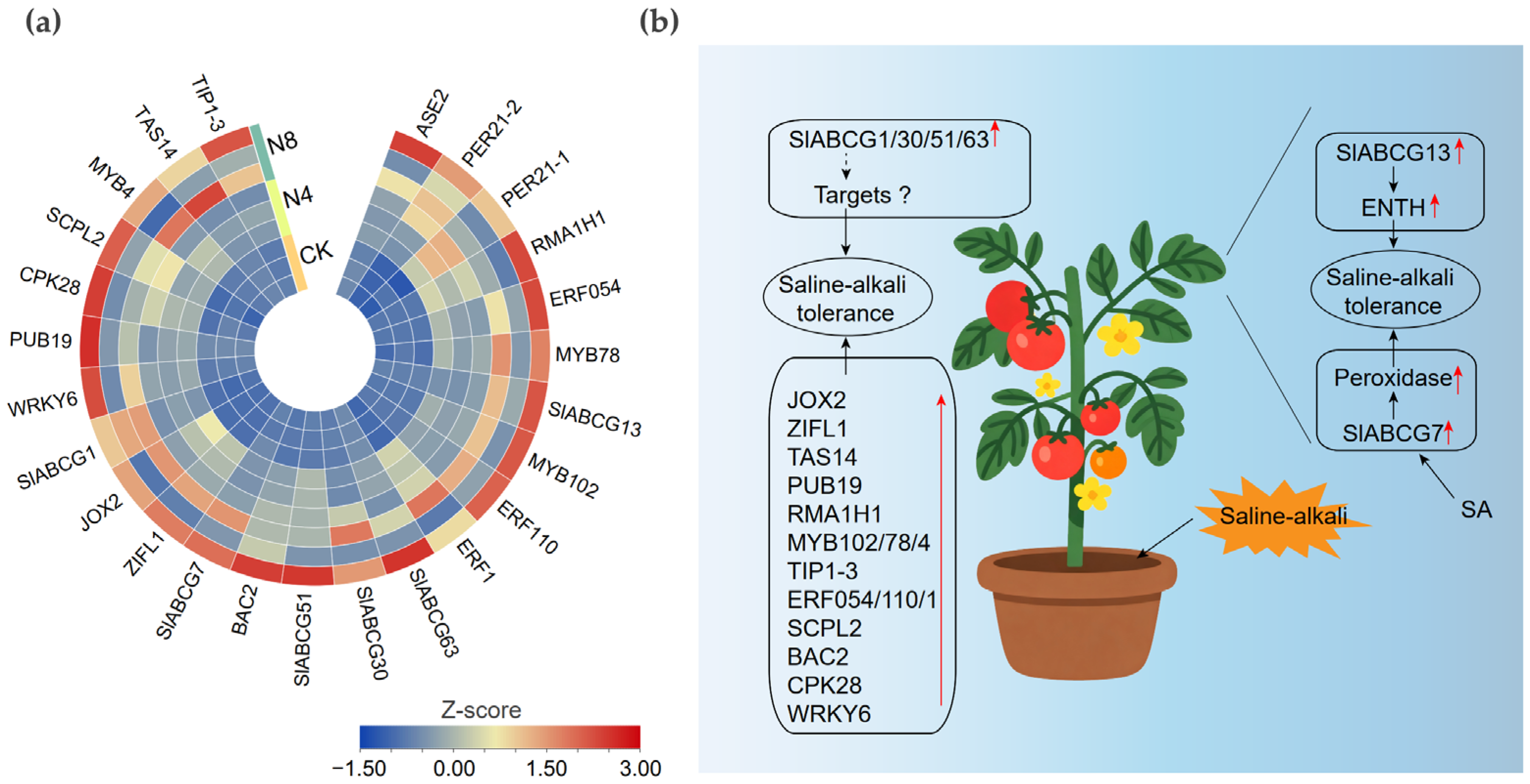 Genes 17 00019 g006