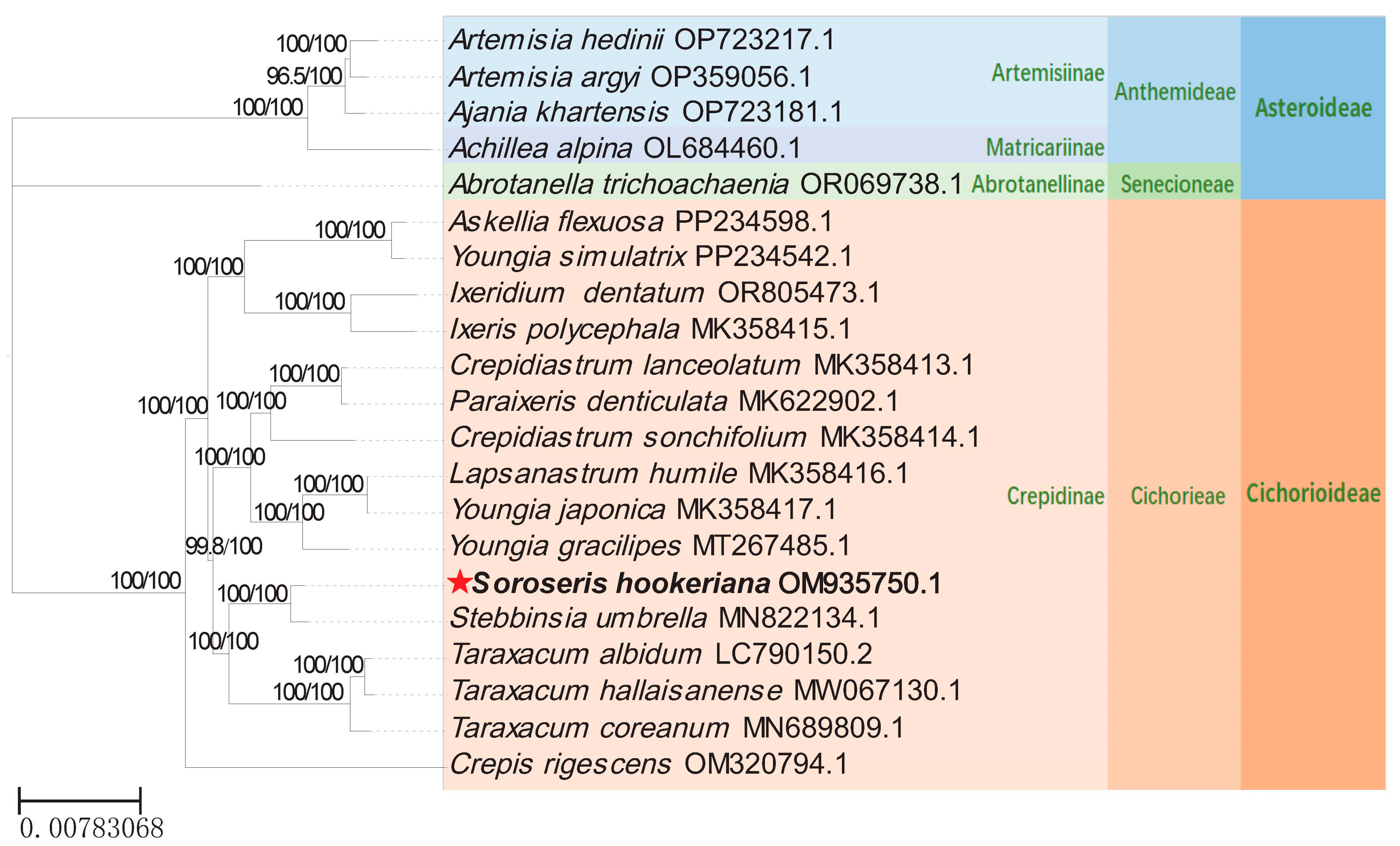 Genes 17 00024 g007