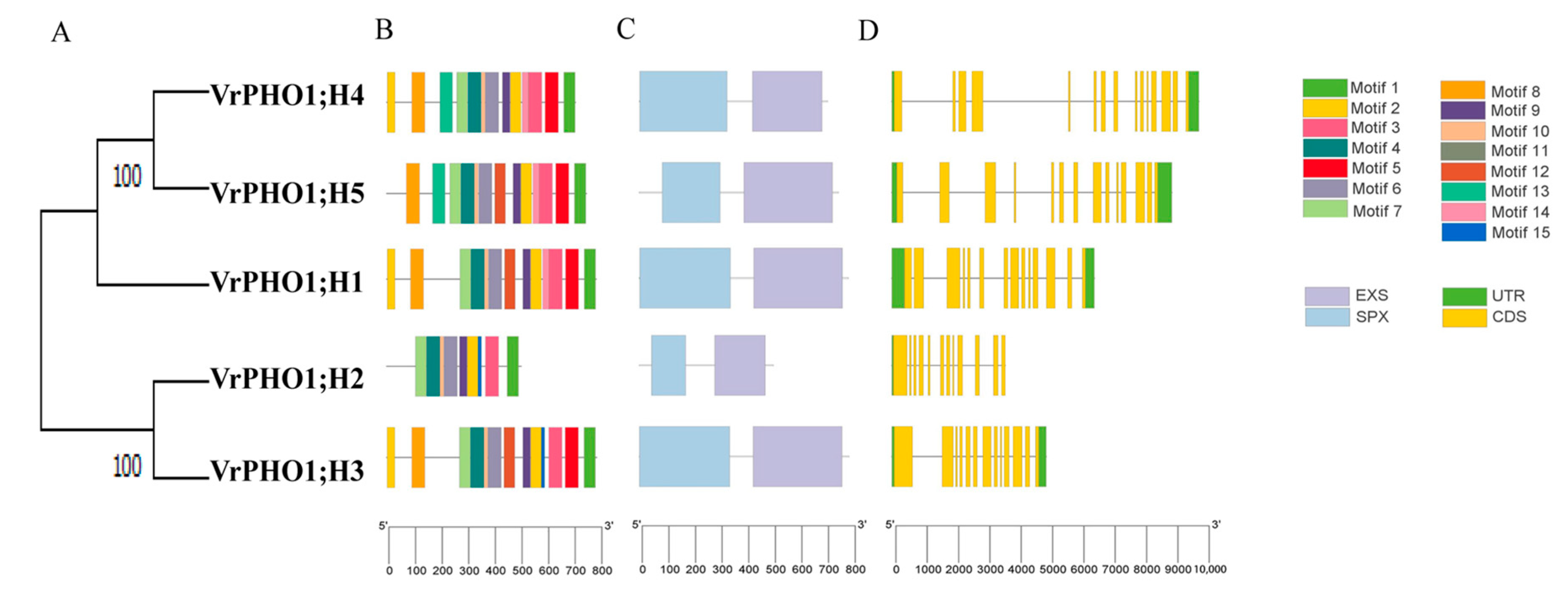 Genes 17 00025 g004