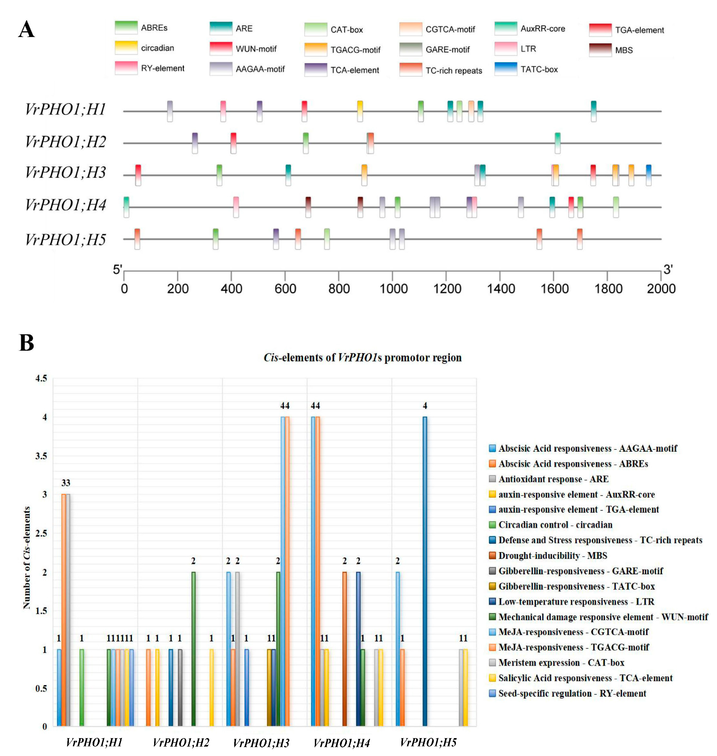Genes 17 00025 g005