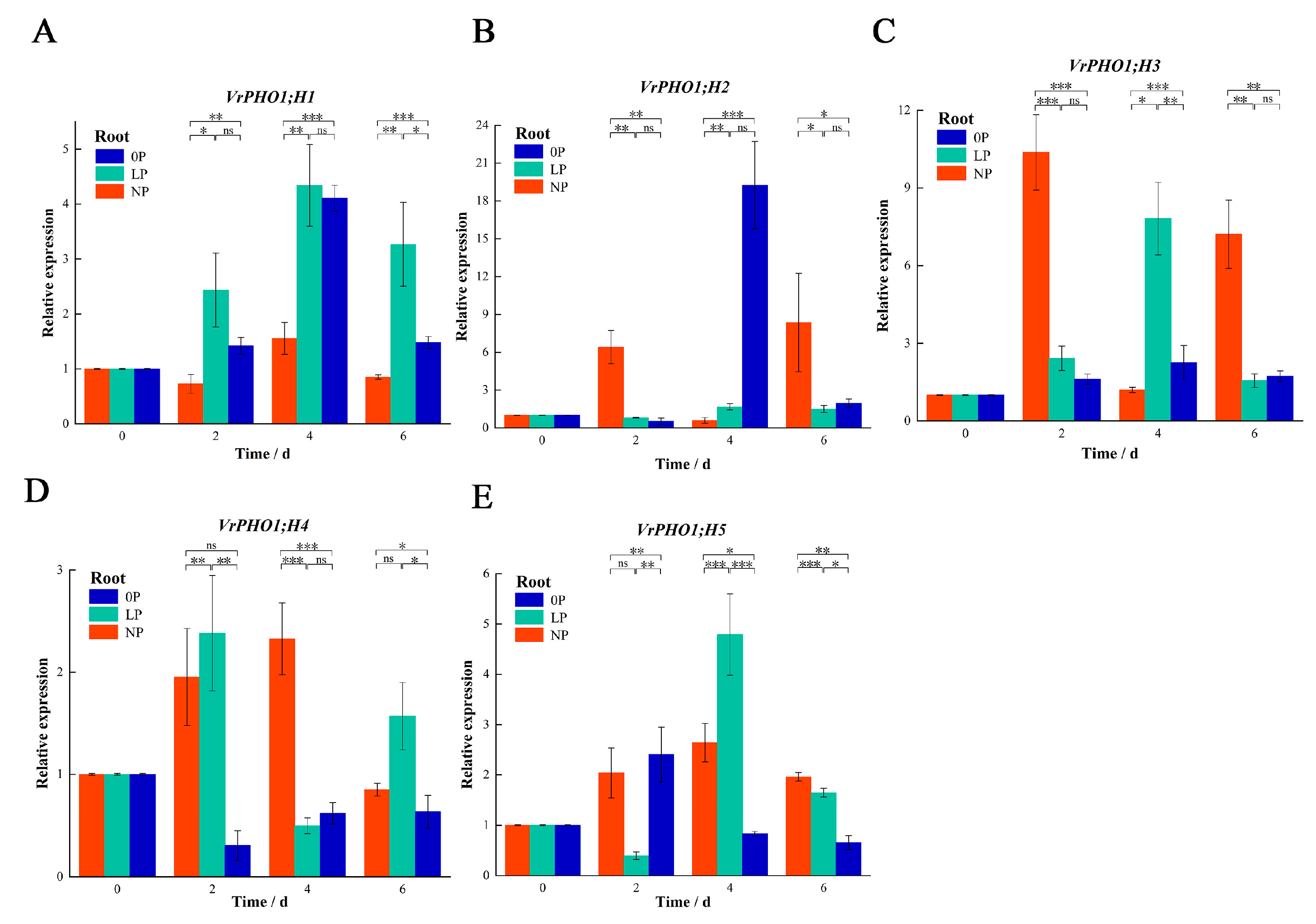 Genes 17 00025 g007