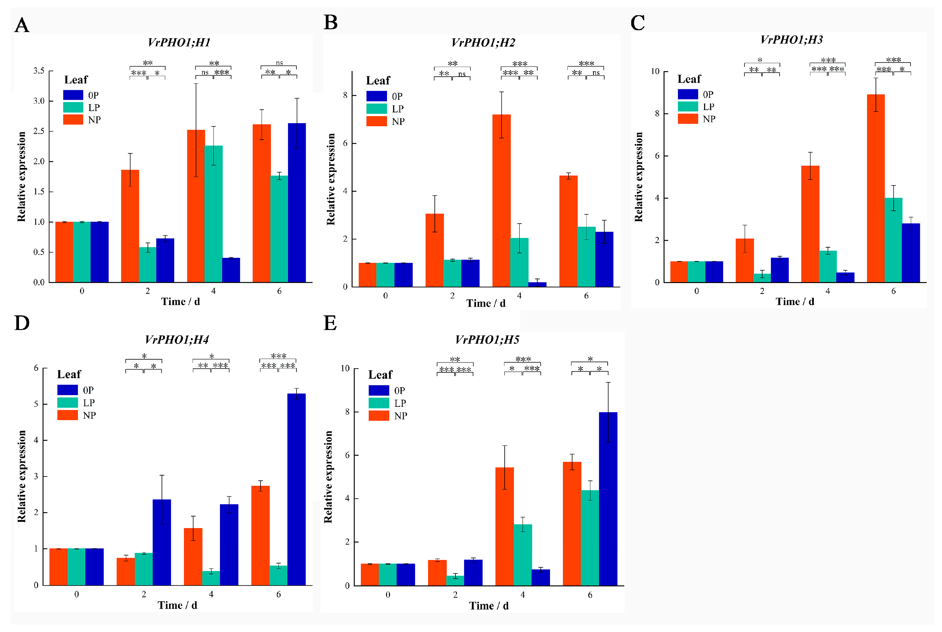 Genes 17 00025 g008