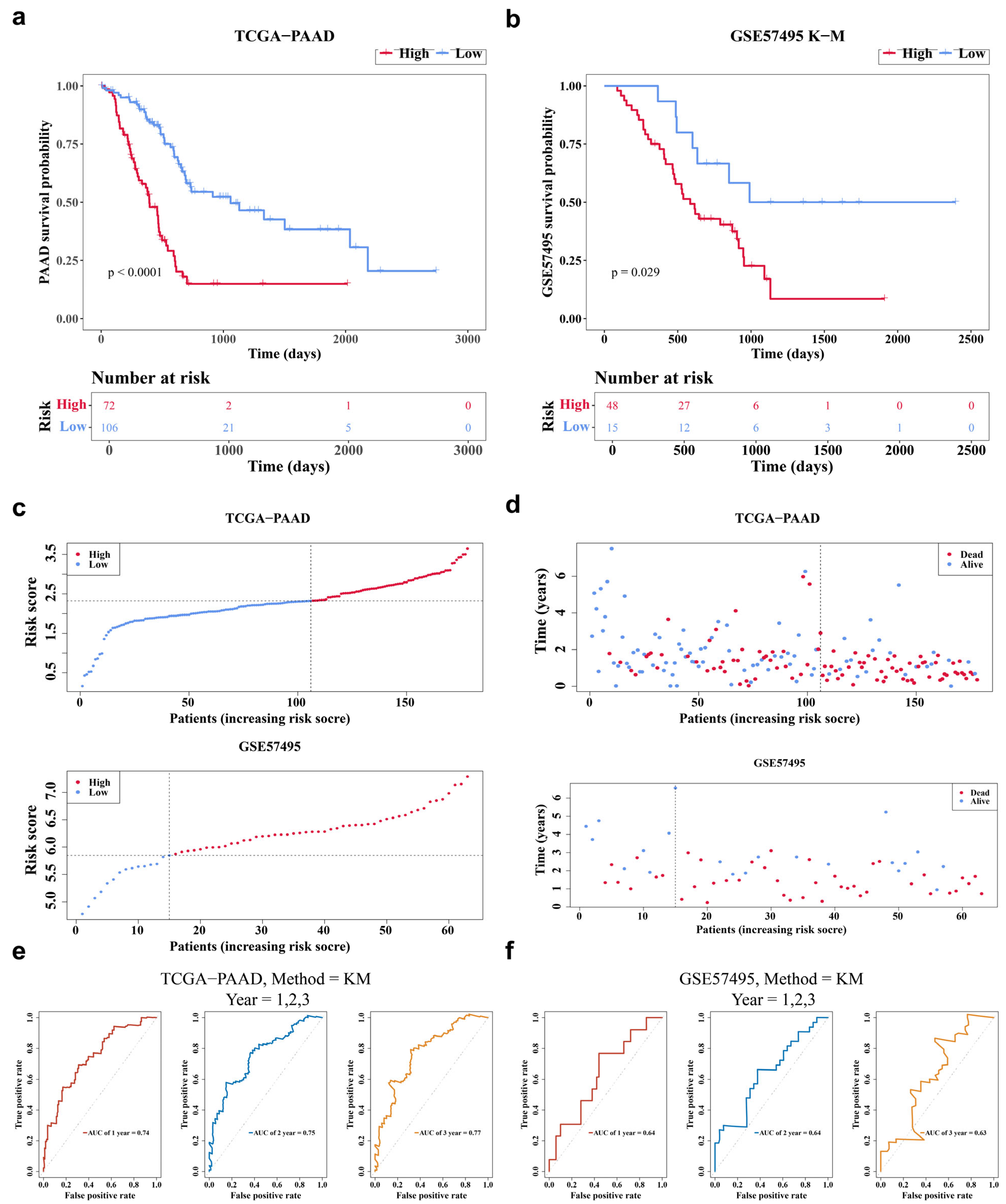 Genes 17 00048 g003
