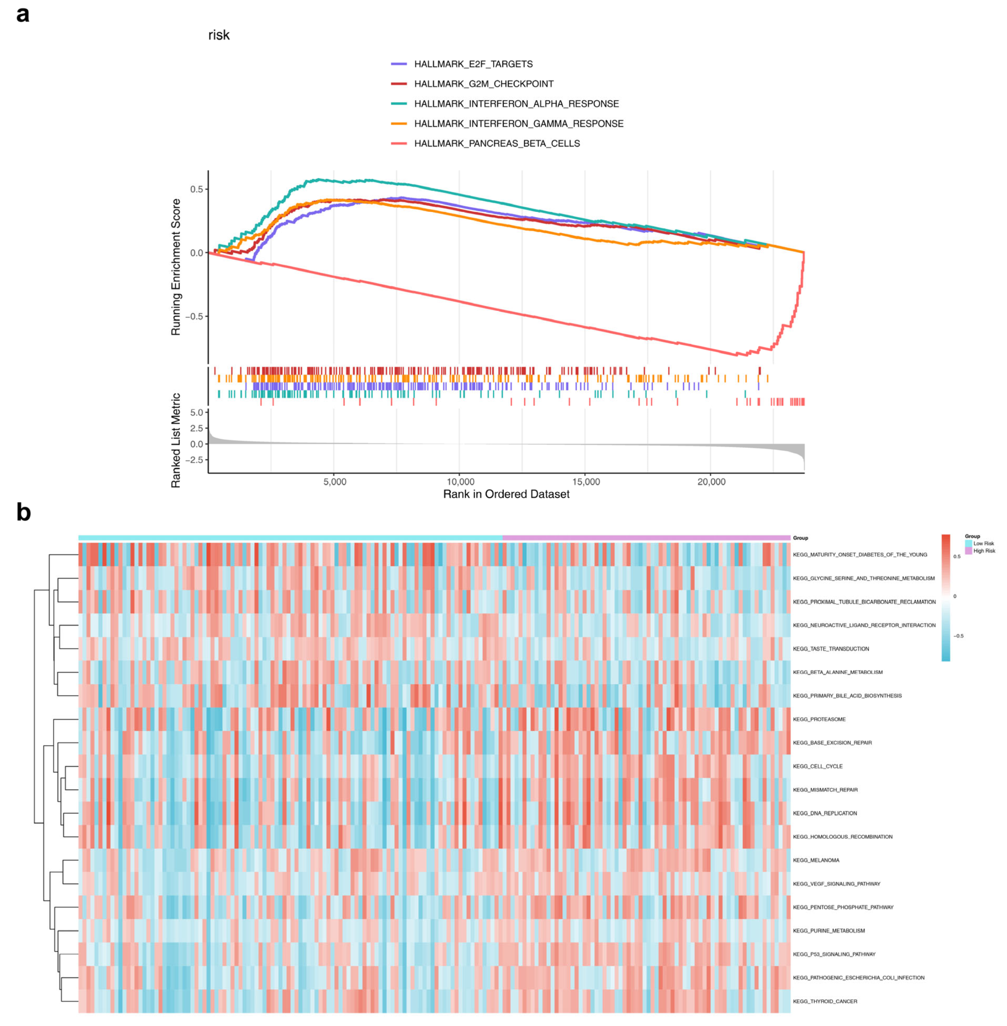 Genes 17 00048 g005