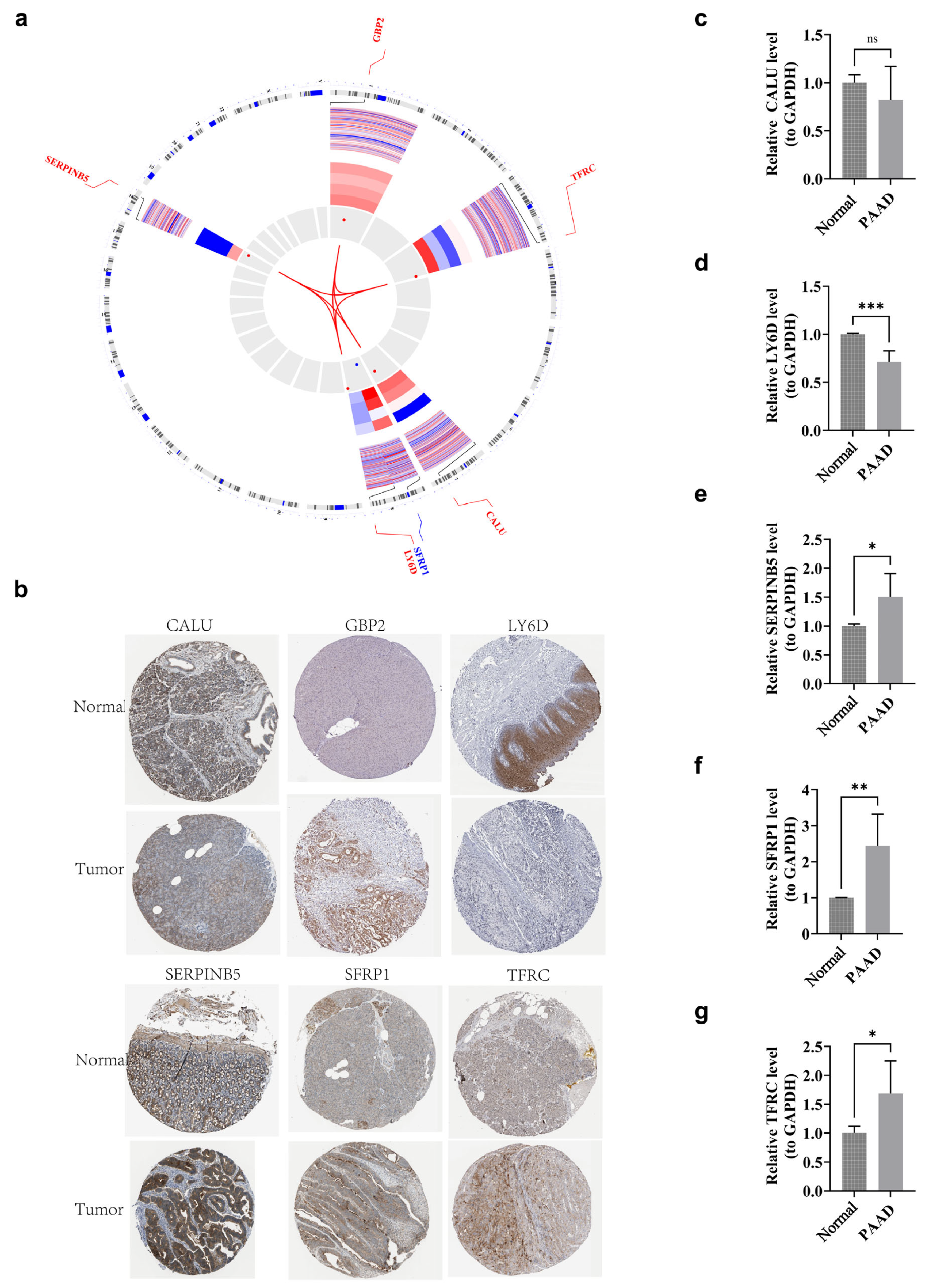 Genes 17 00048 g012