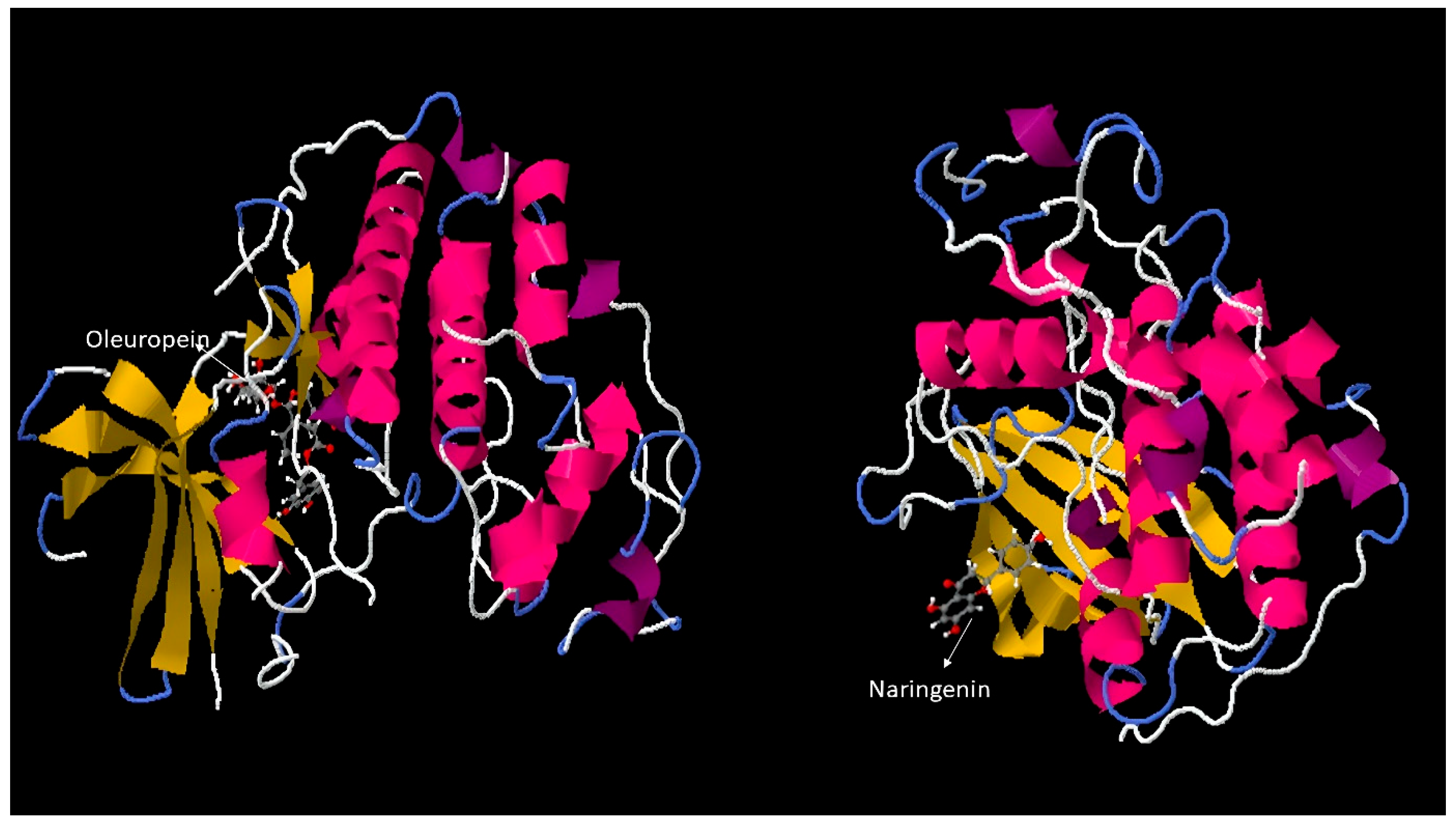 Genes 17 00079 g007