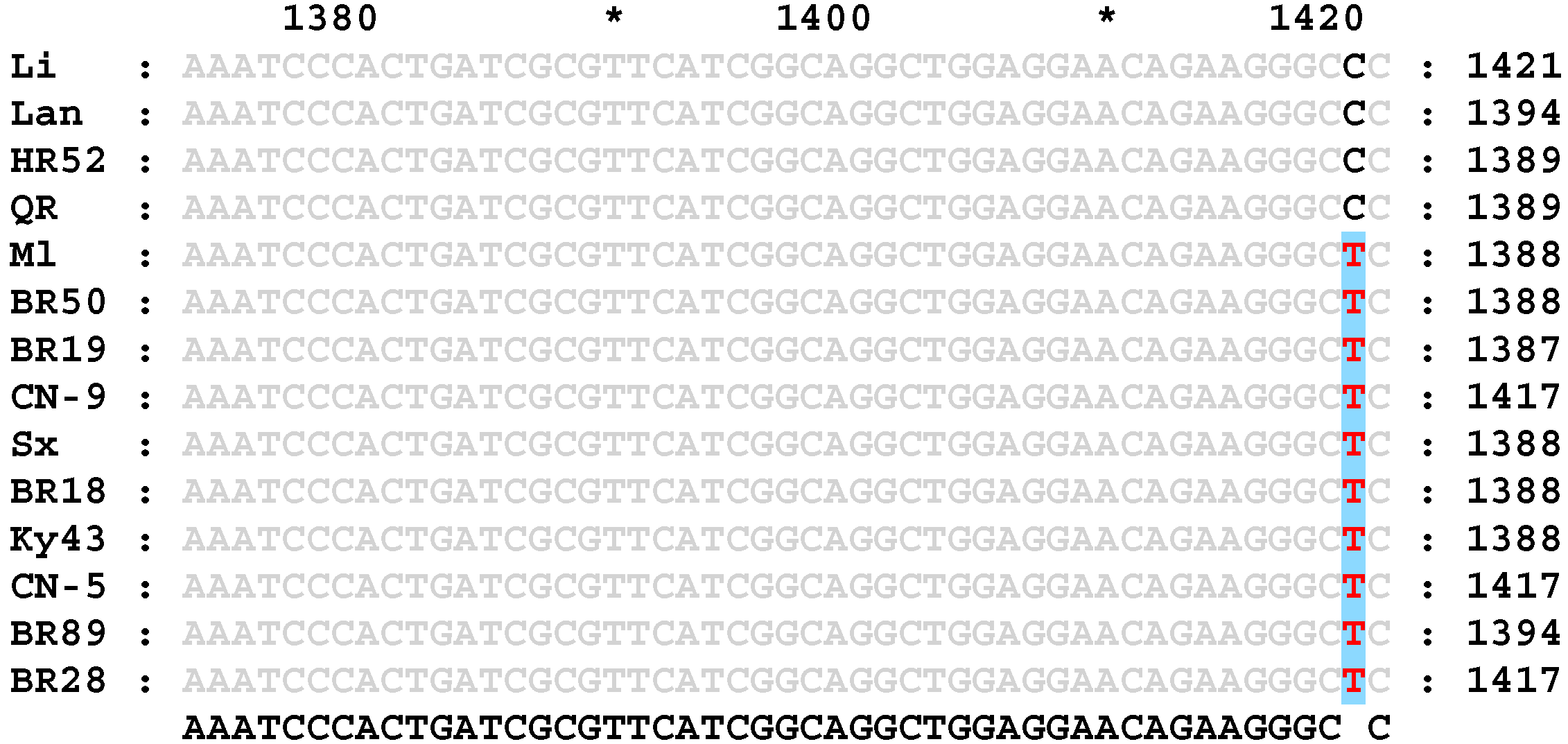 Genes 17 00089 g002 Genes 17 00089 g002