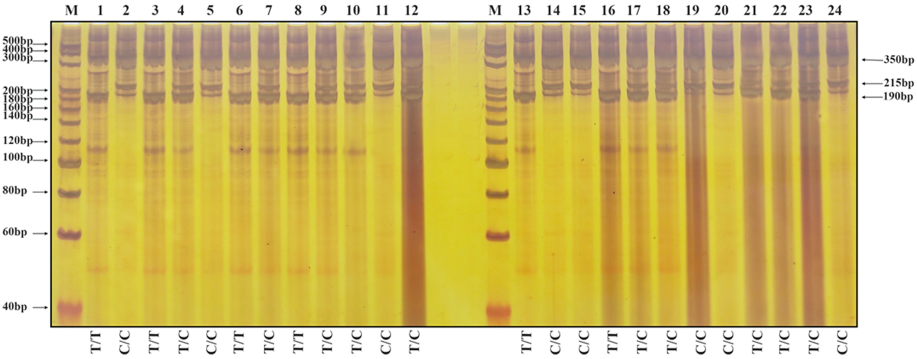 Genes 17 00089 g003 Genes 17 00089 g003