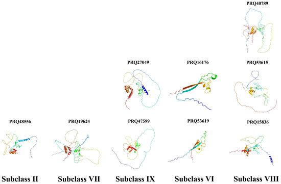 Genome-Wide Identification of the Zinc Finger-Homeodomain (ZF-HD