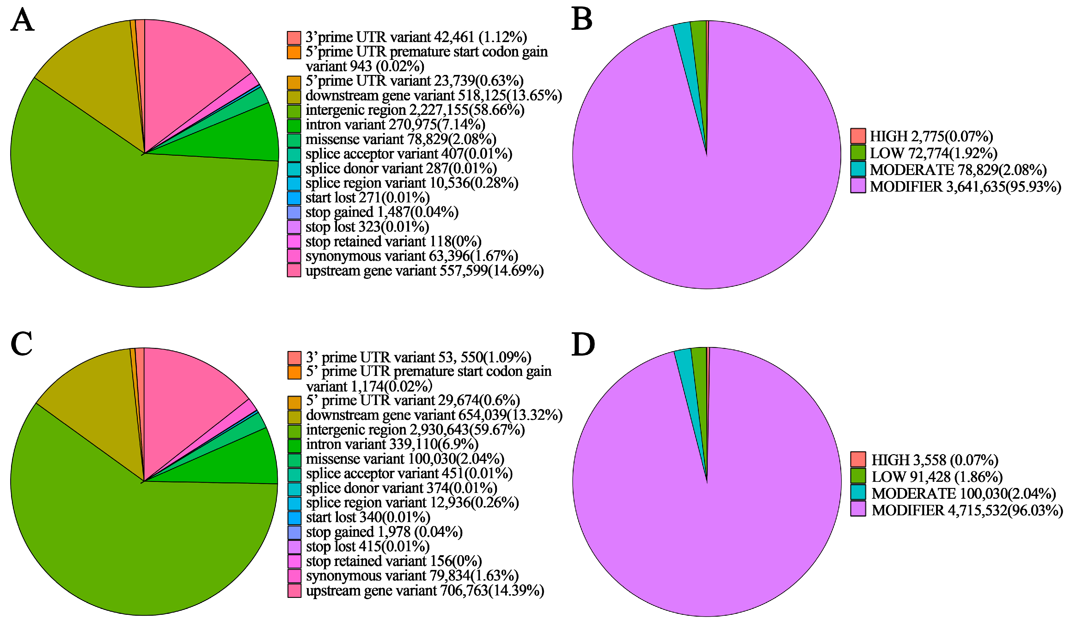 Genes 17 00096 g006