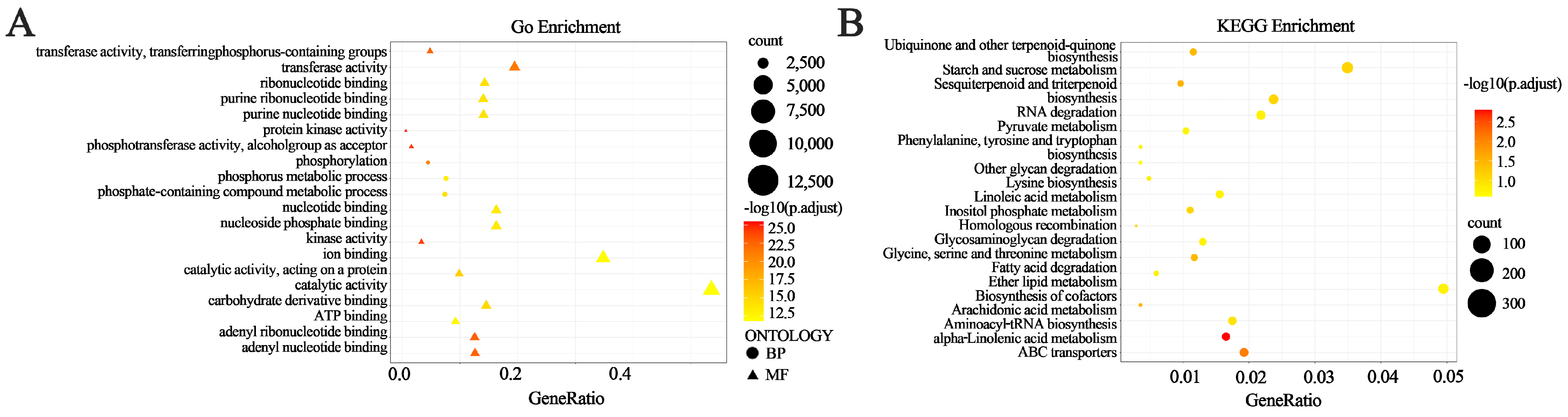 Genes 17 00096 g008